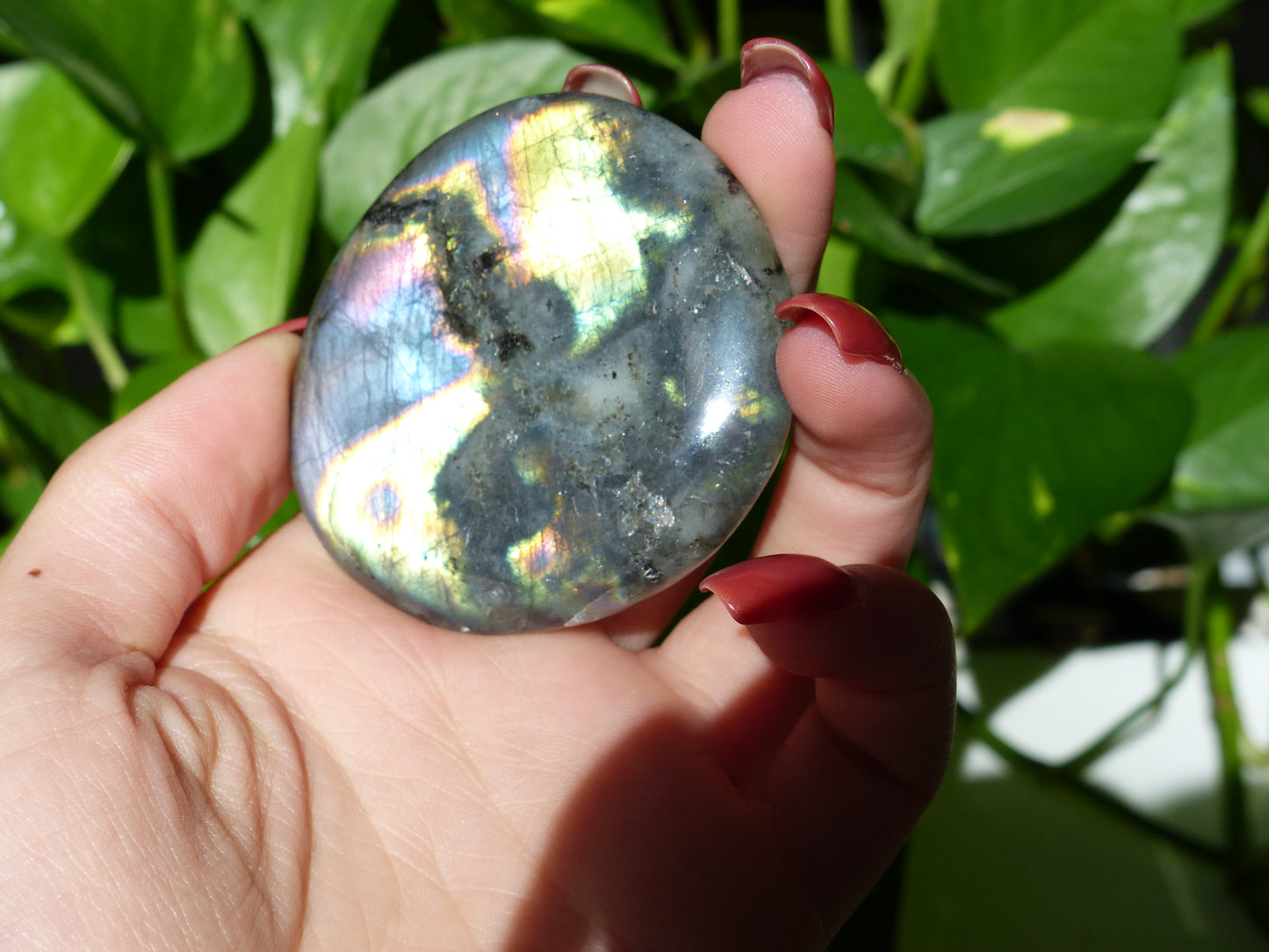 Labradorite Palm Stone (#48) - Simply Affinity