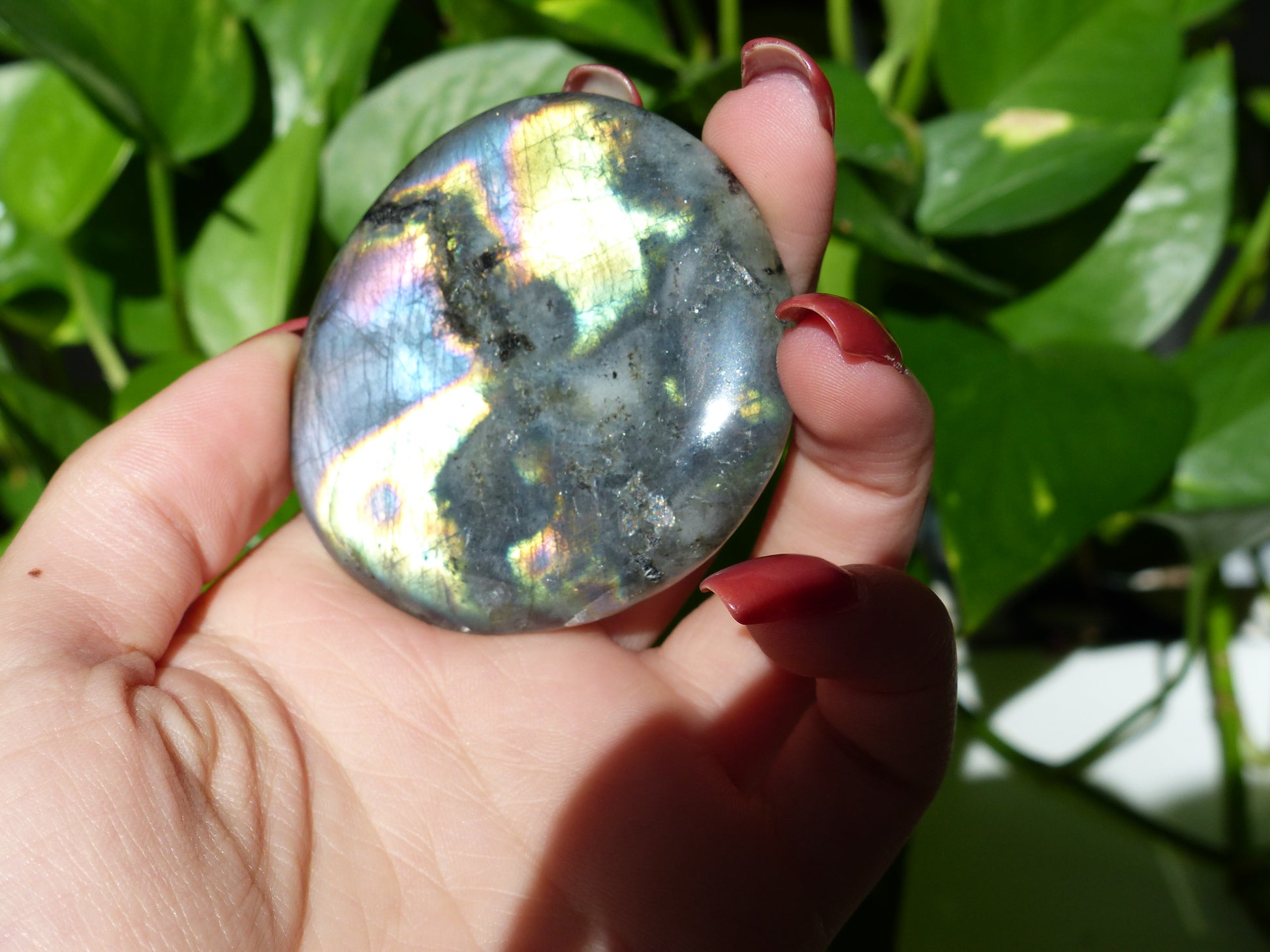 Labradorite Palm Stone (#48) - Simply Affinity