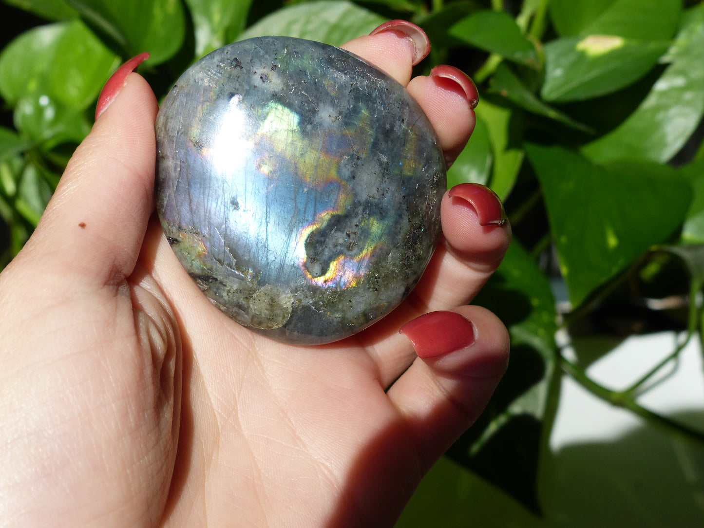 Labradorite Palm Stone (#48) - Simply Affinity