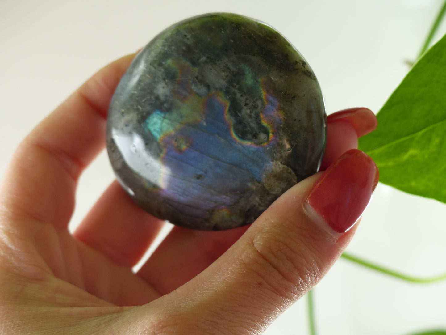 Labradorite Palm Stone (#48) - Simply Affinity