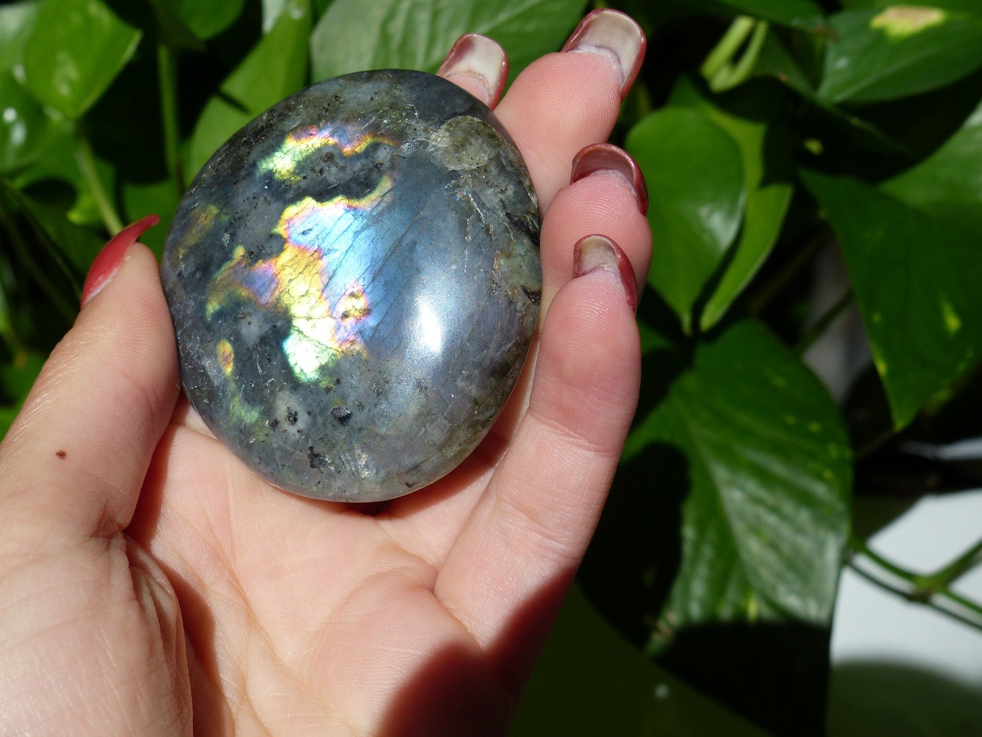 Labradorite Palm Stone (#48) - Simply Affinity