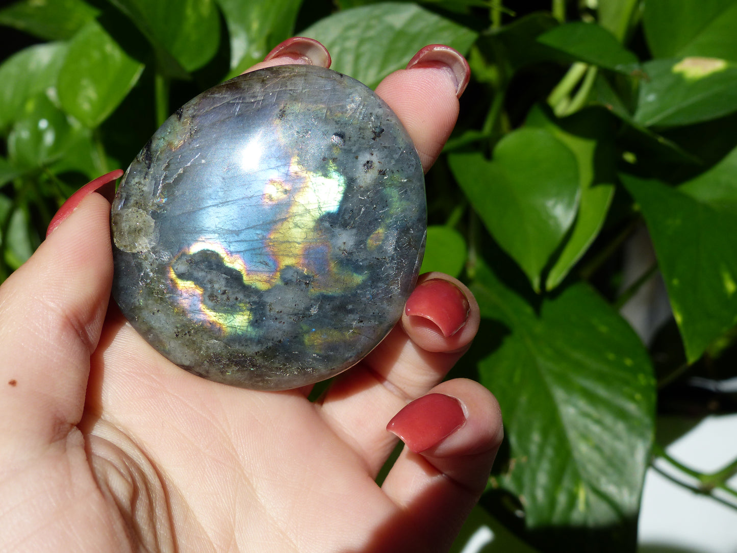 Labradorite Palm Stone (#48) - Simply Affinity