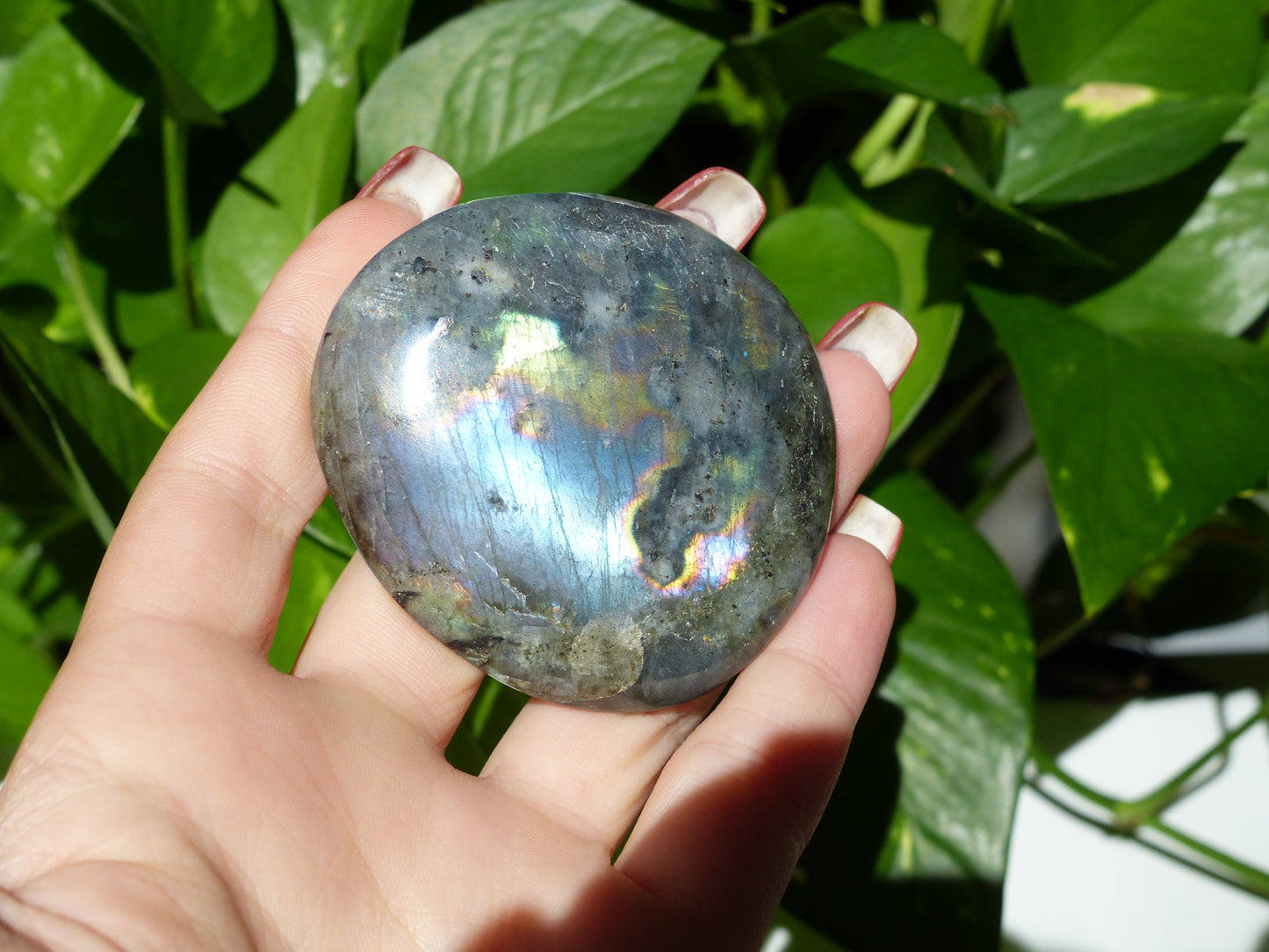 Labradorite Palm Stone (#48) - Simply Affinity