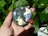 Labradorite Palm Stone (#48) - Simply Affinity