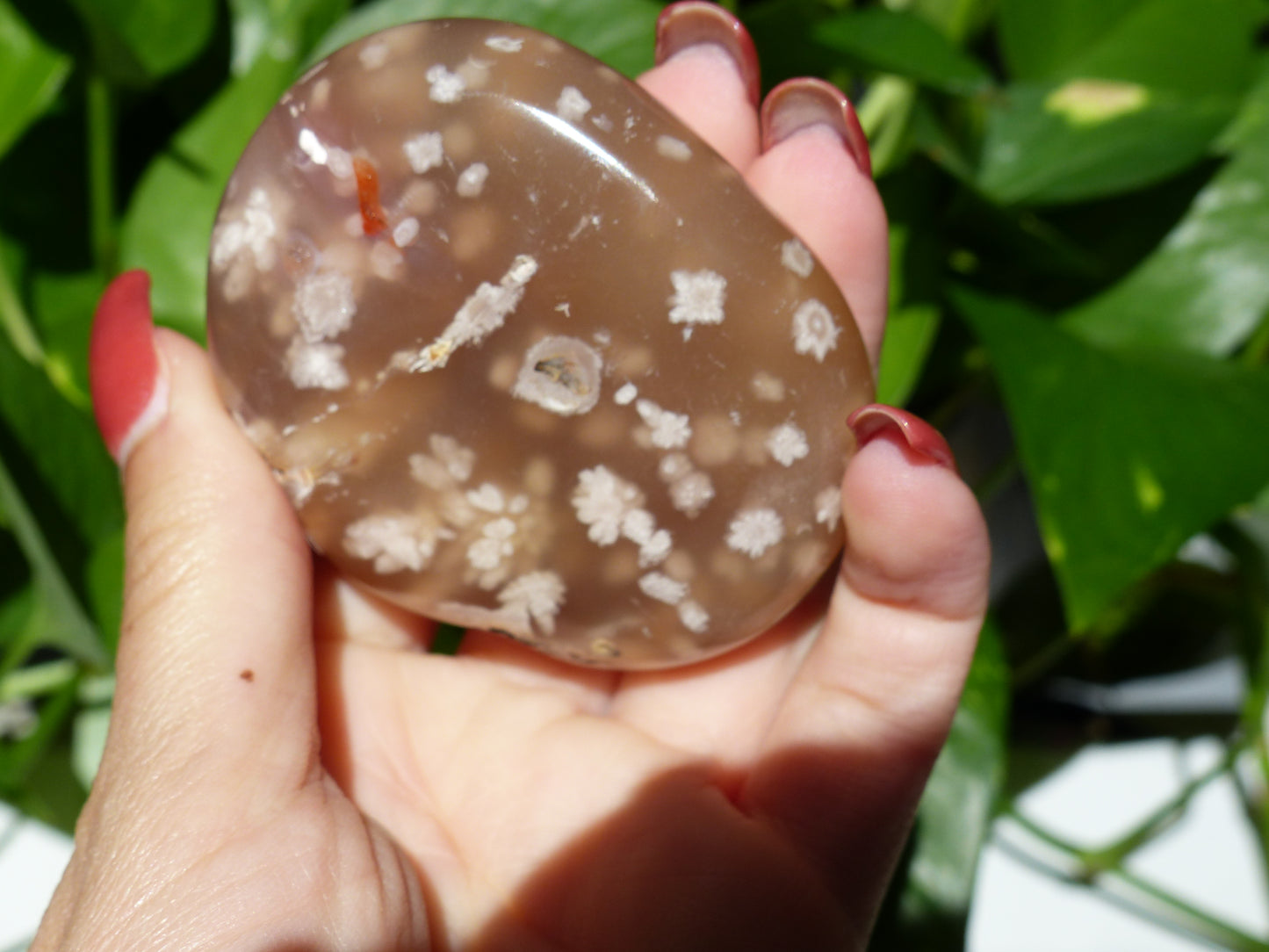 Flower Agate Palm Stone (#18) - Simply Affinity