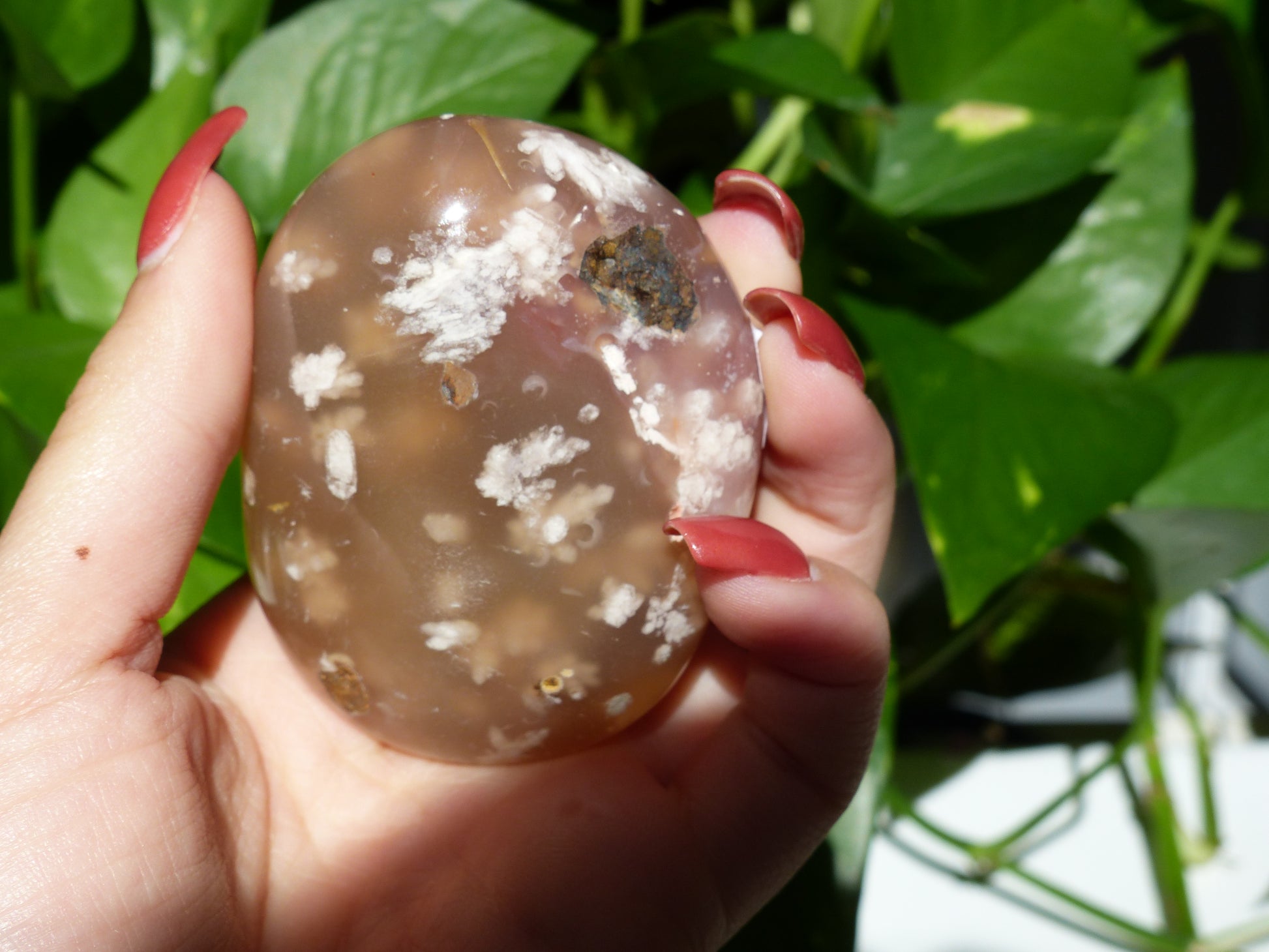 Flower Agate Palm Stone (#18) - Simply Affinity