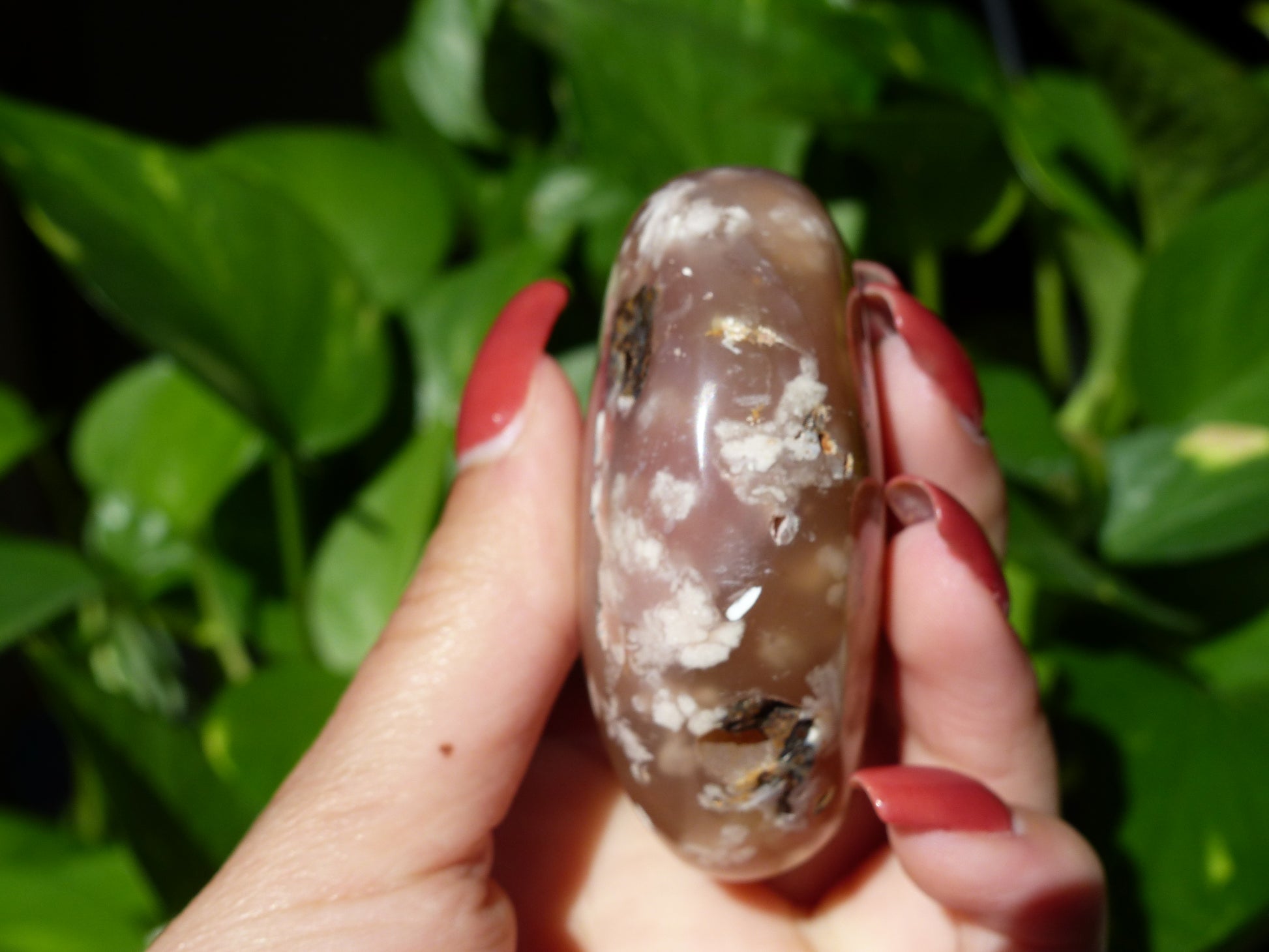 Flower Agate Palm Stone (#18) - Simply Affinity