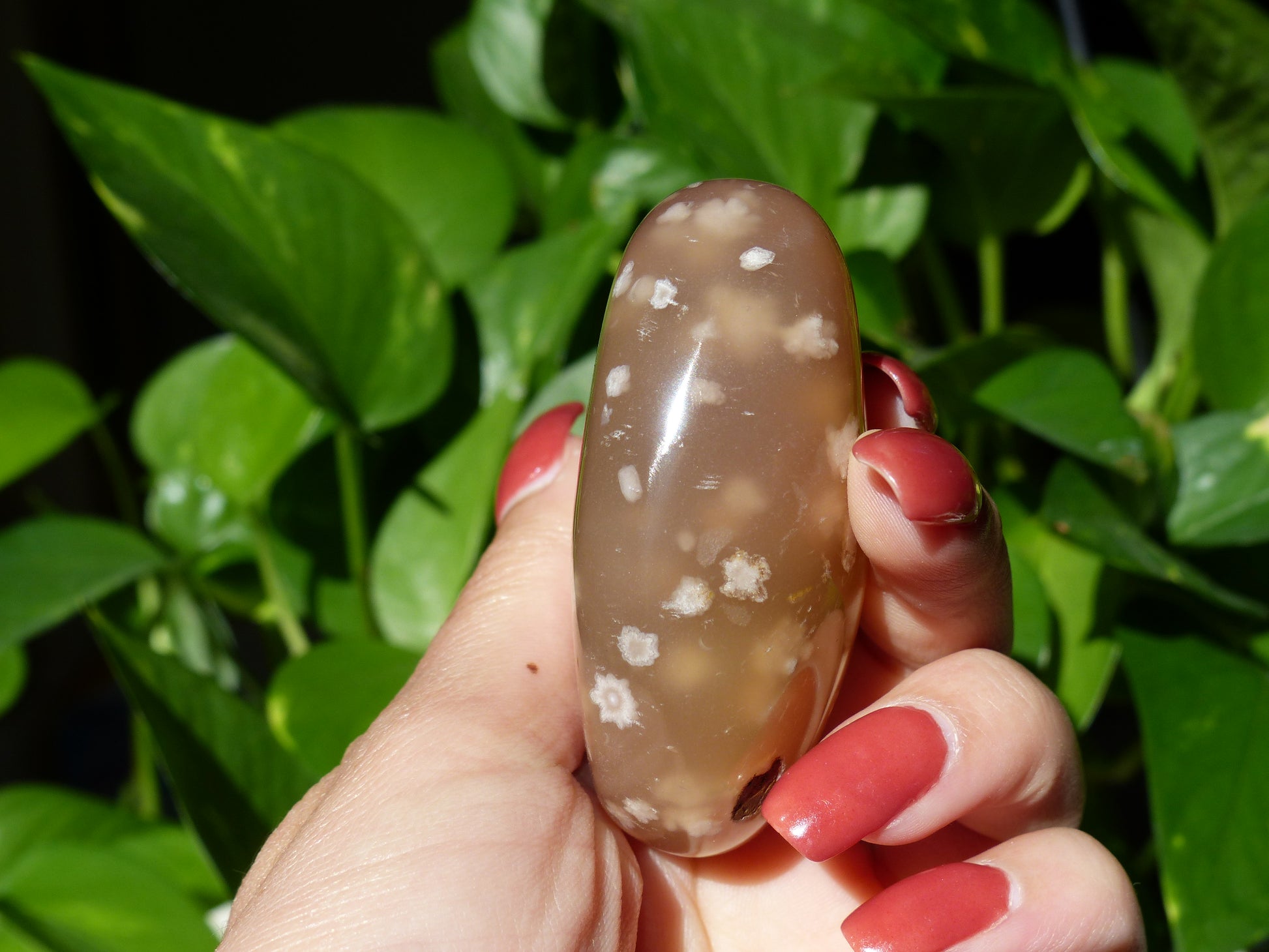Flower Agate Palm Stone (#18) - Simply Affinity