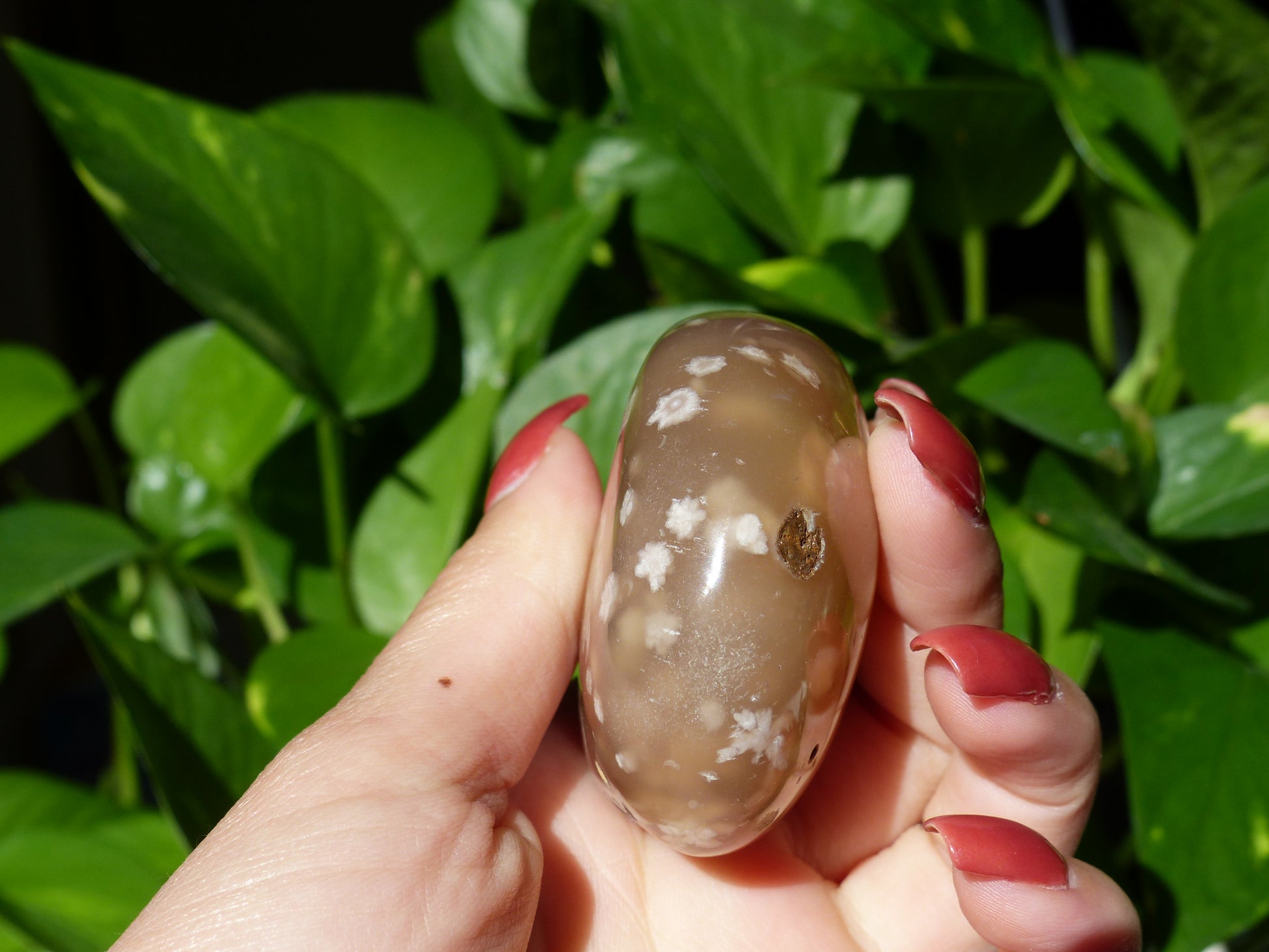 Flower Agate Palm Stone (#18) - Simply Affinity