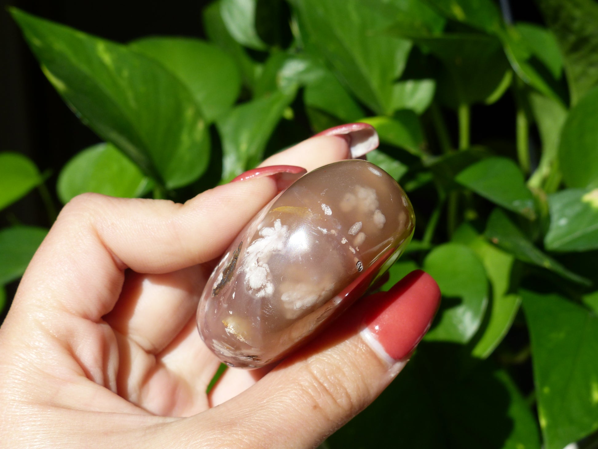 Flower Agate Palm Stone (#18) - Simply Affinity