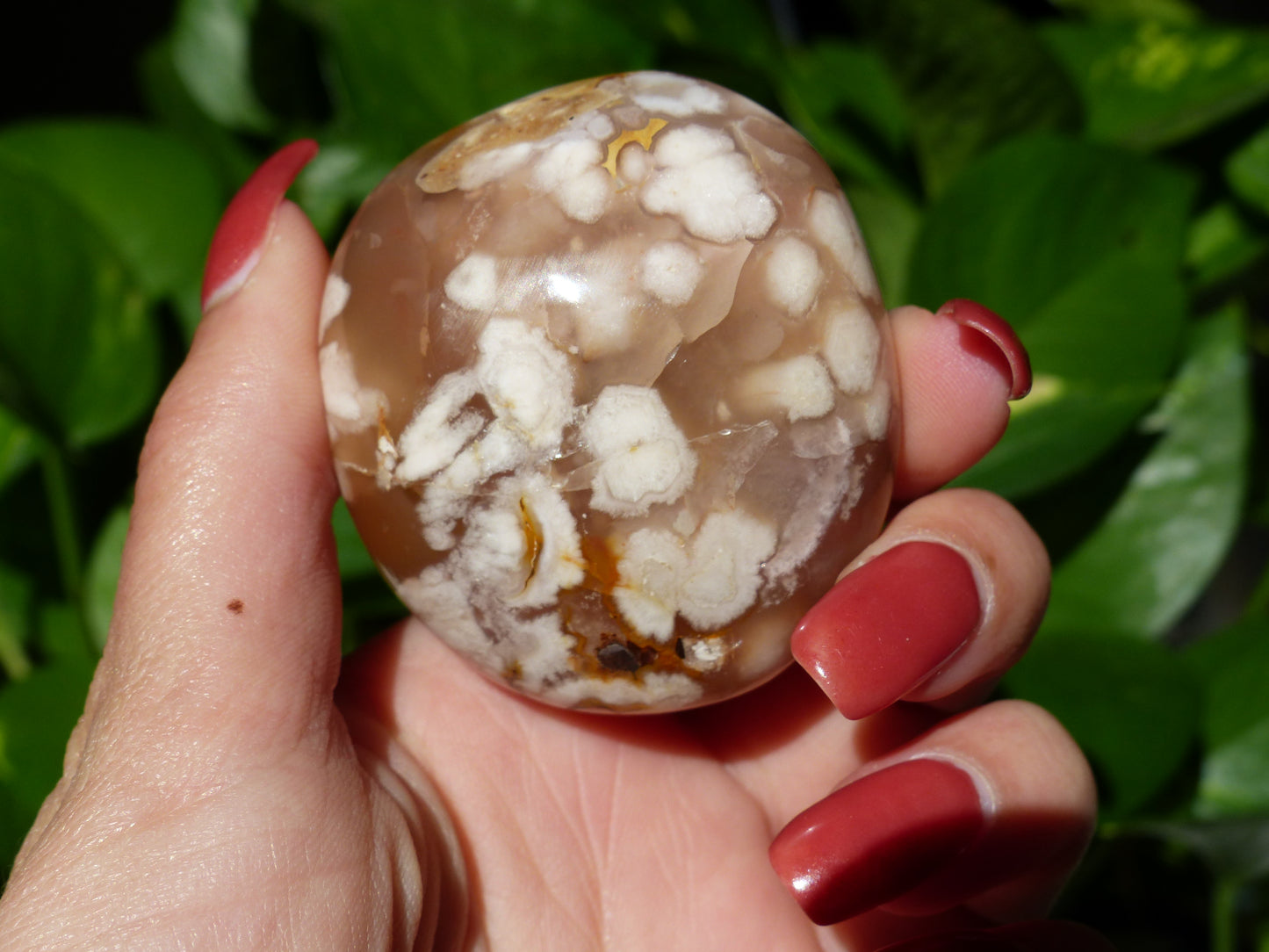 Flower Agate Palm Stone (#19) - Simply Affinity