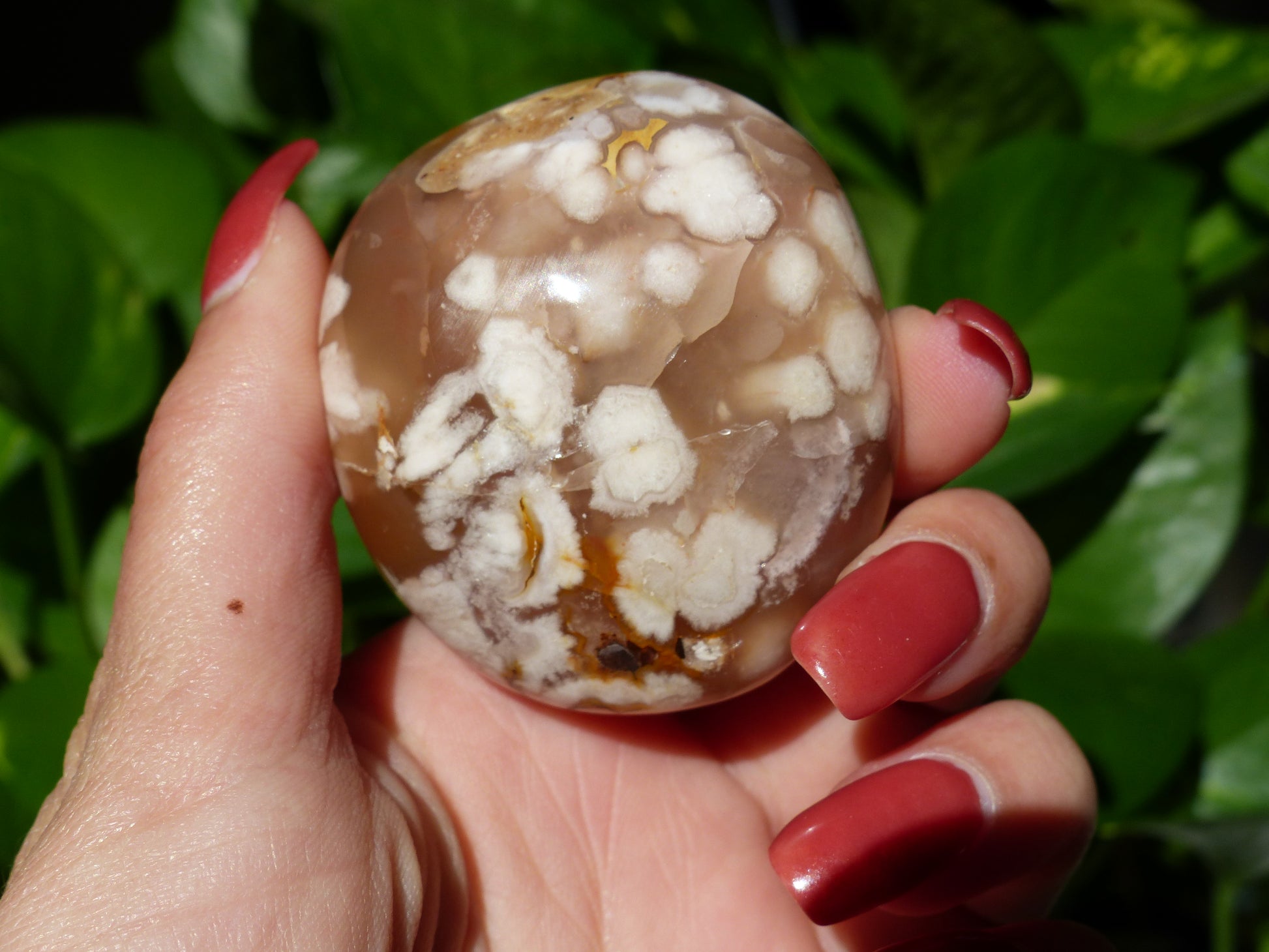 Flower Agate Palm Stone (#19) - Simply Affinity