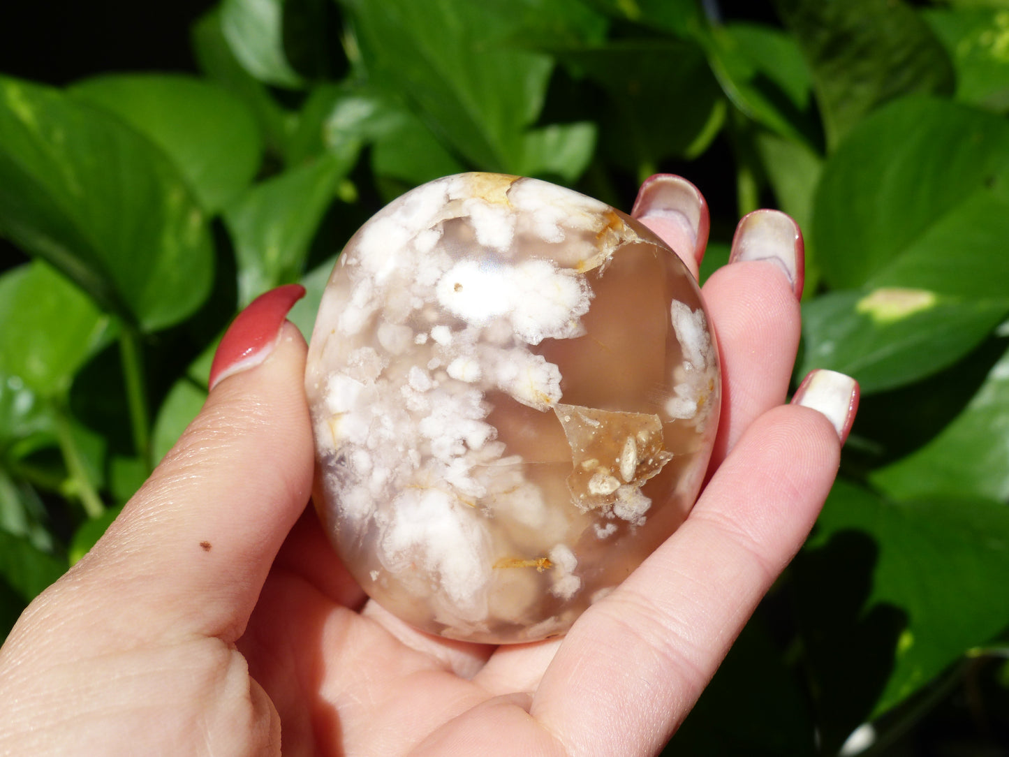 Flower Agate Palm Stone (#19) - Simply Affinity