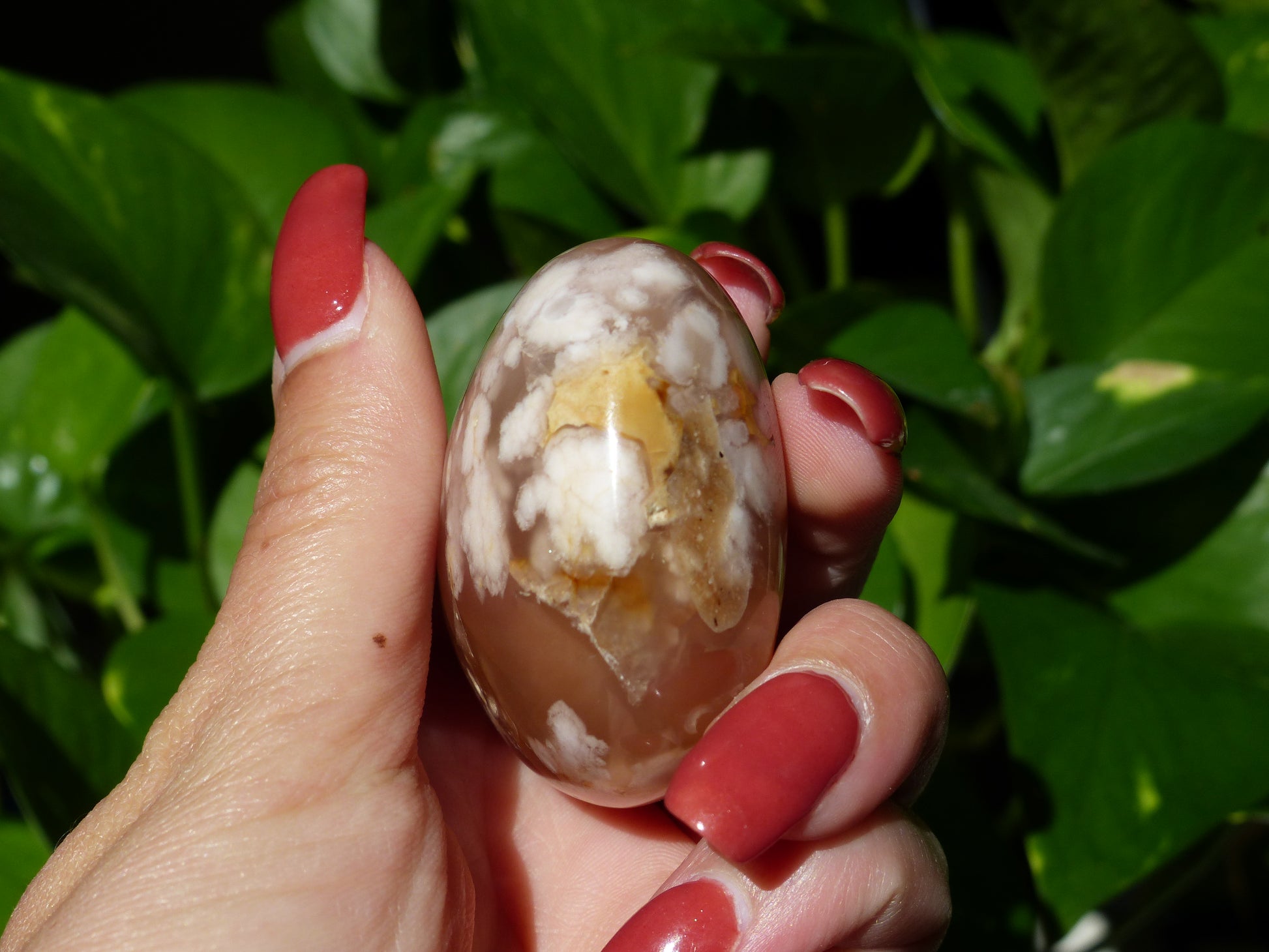 Flower Agate Palm Stone (#19) - Simply Affinity