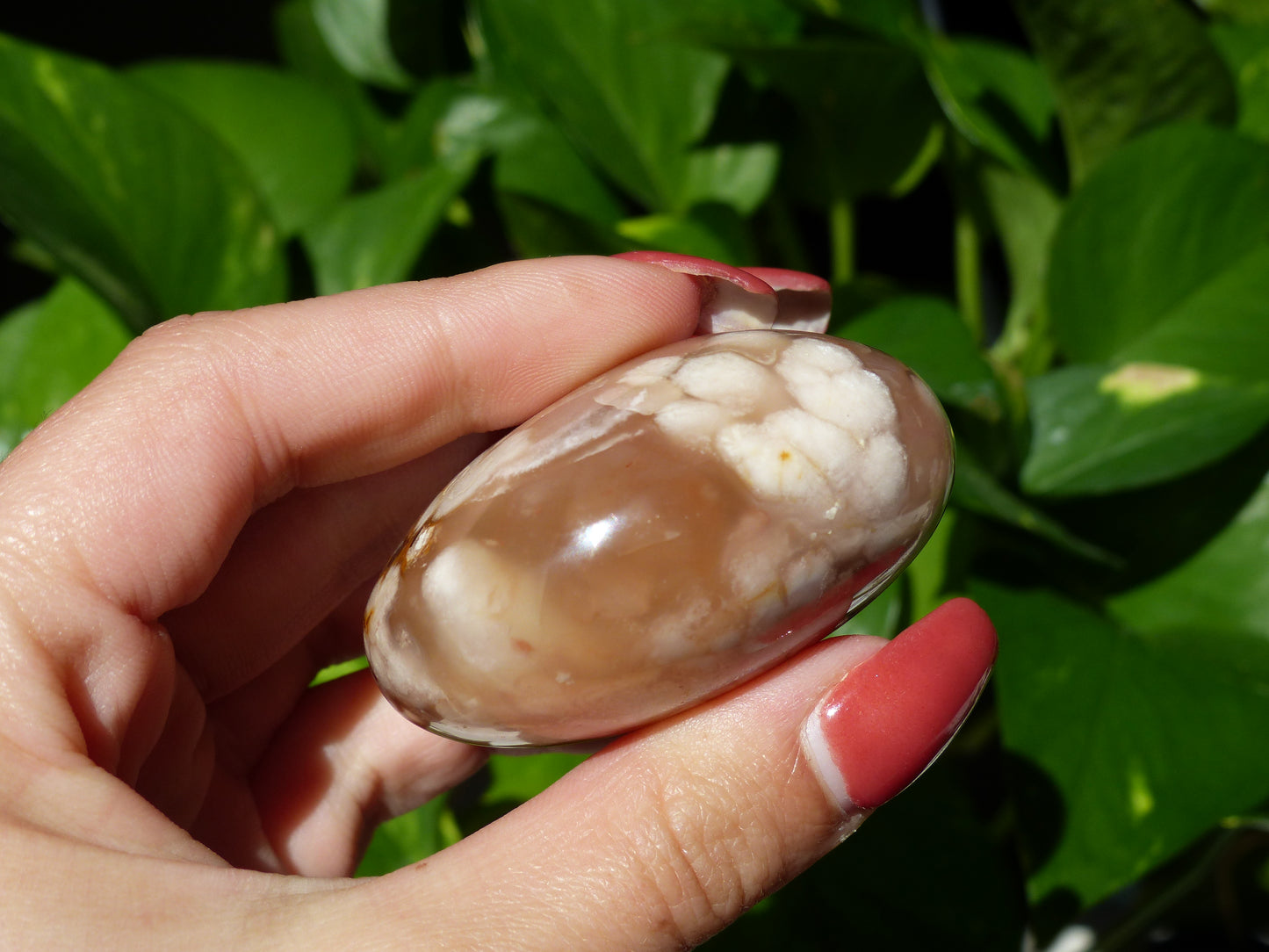 Flower Agate Palm Stone (#19) - Simply Affinity