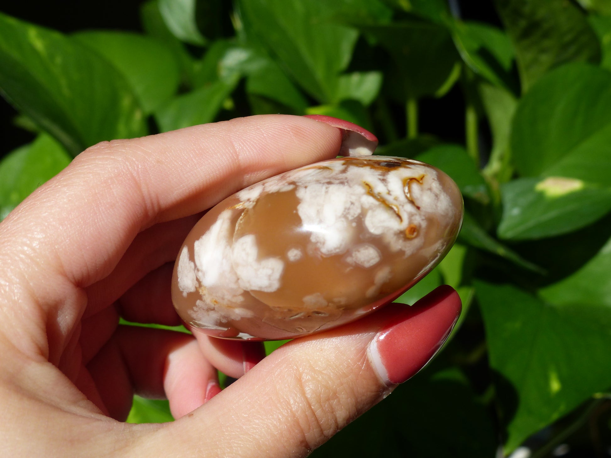 Flower Agate Palm Stone (#19) - Simply Affinity