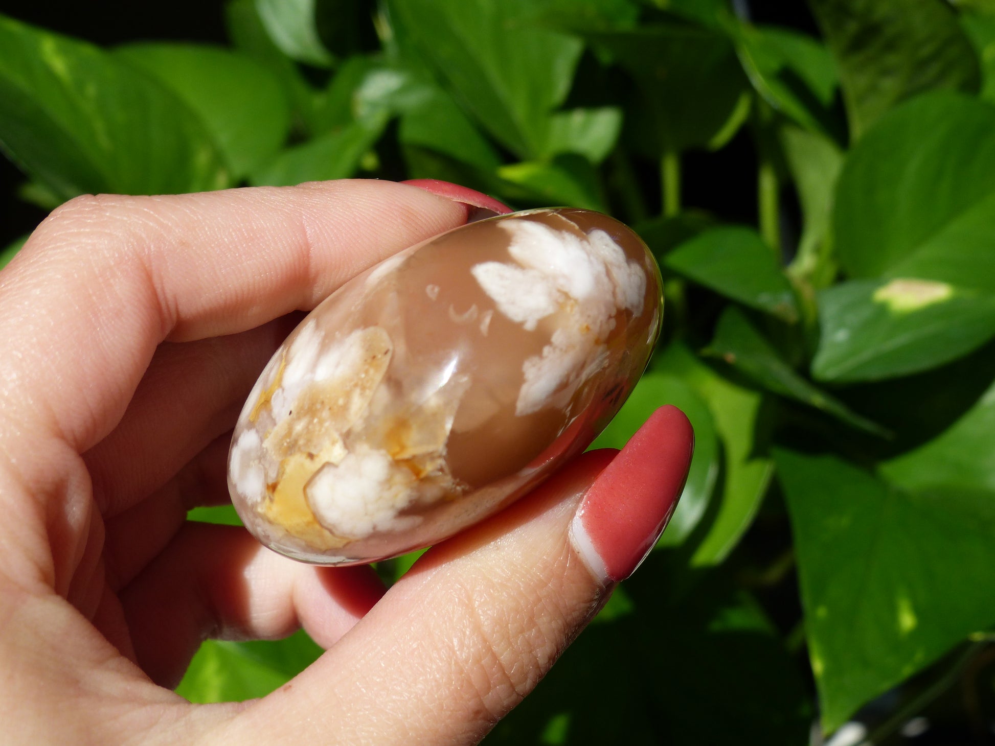 Flower Agate Palm Stone (#19) - Simply Affinity