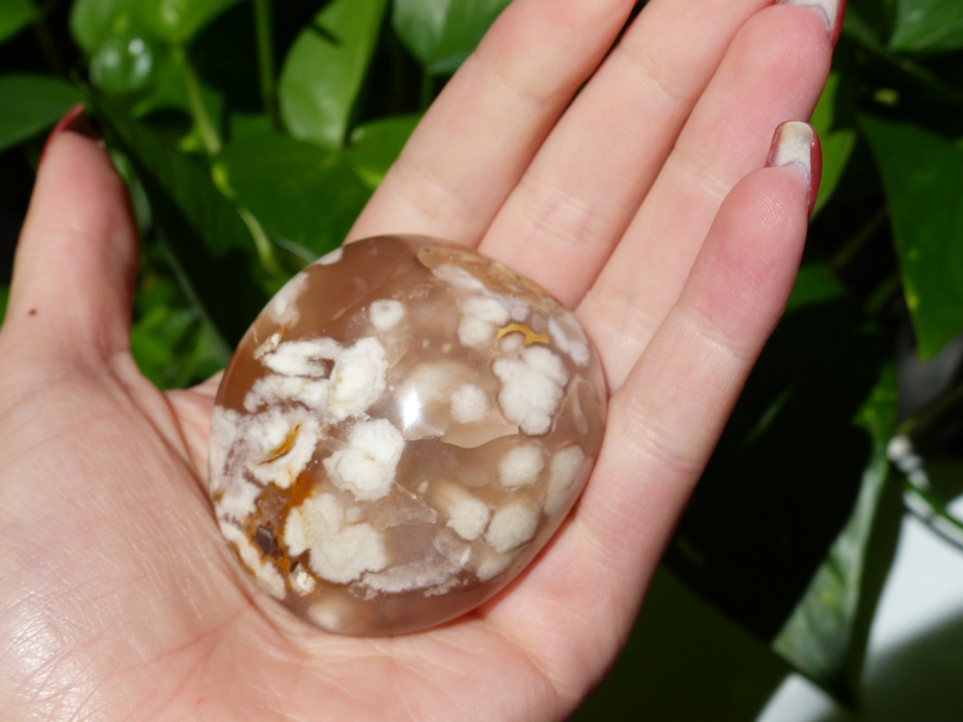 Flower Agate Palm Stone (#19) - Simply Affinity
