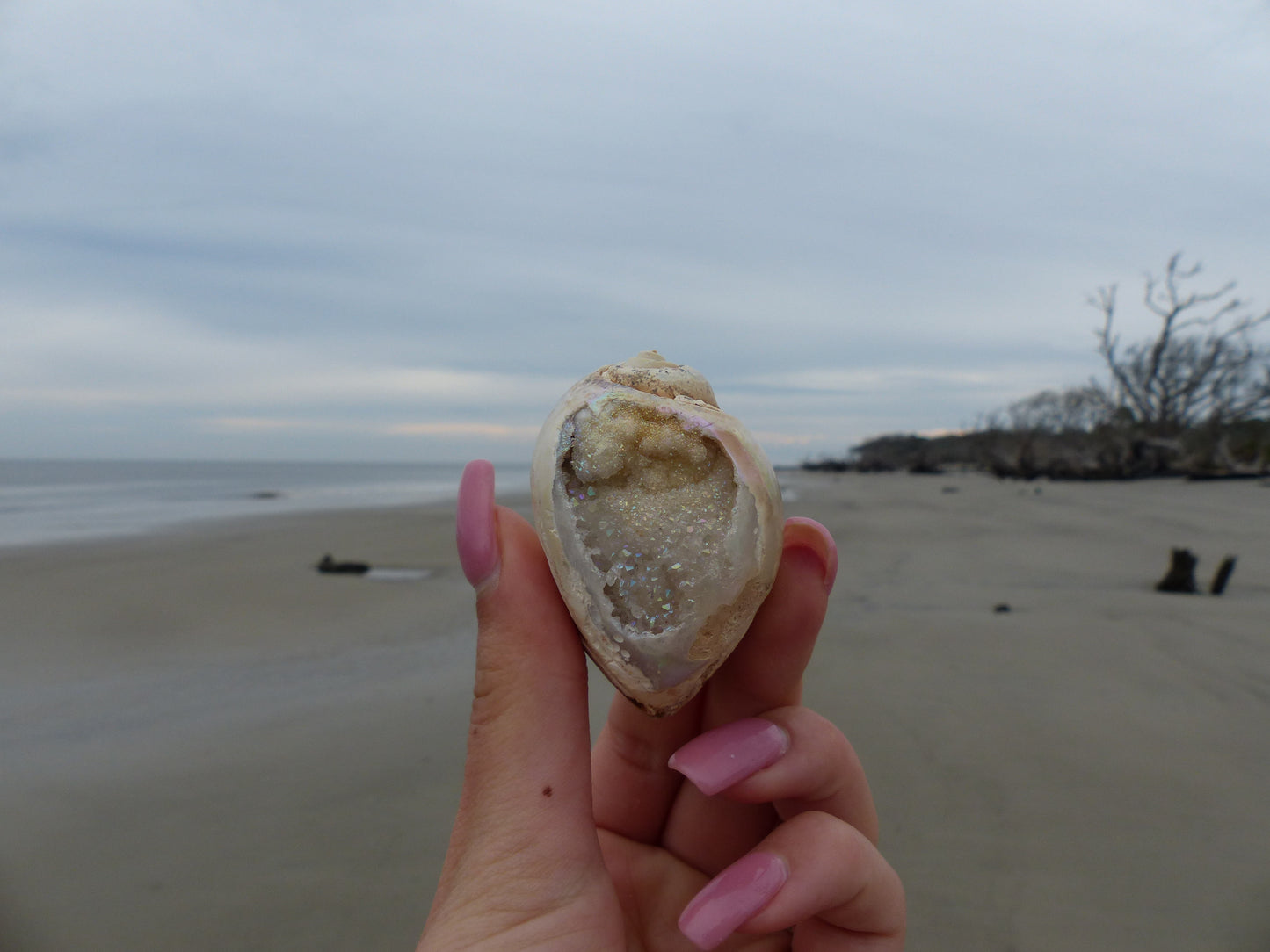Aura Druzy Shell (#9) - Simply Affinity