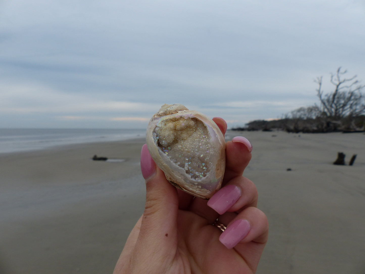 Aura Druzy Shell (#9) - Simply Affinity