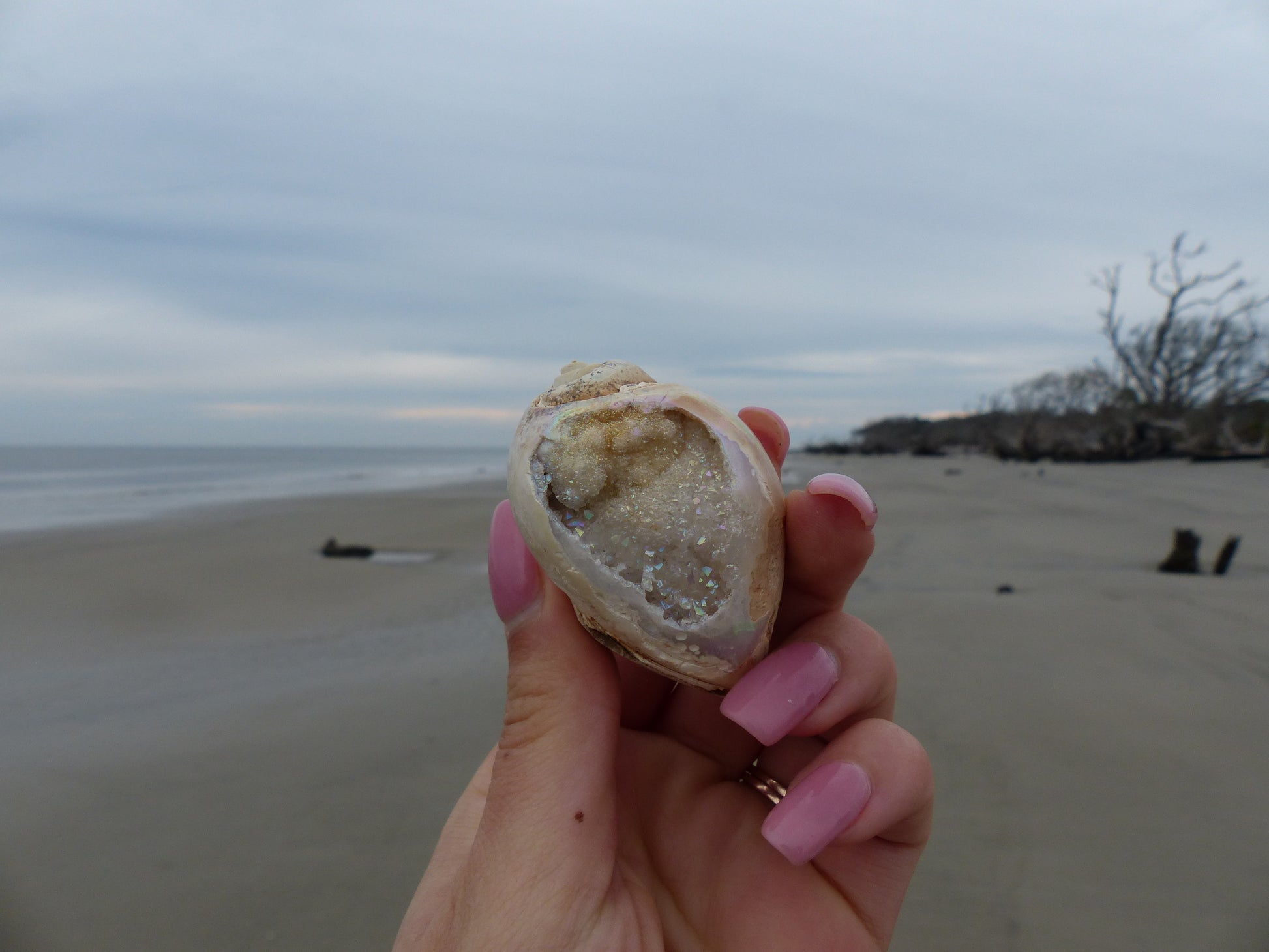 Aura Druzy Shell (#9) - Simply Affinity