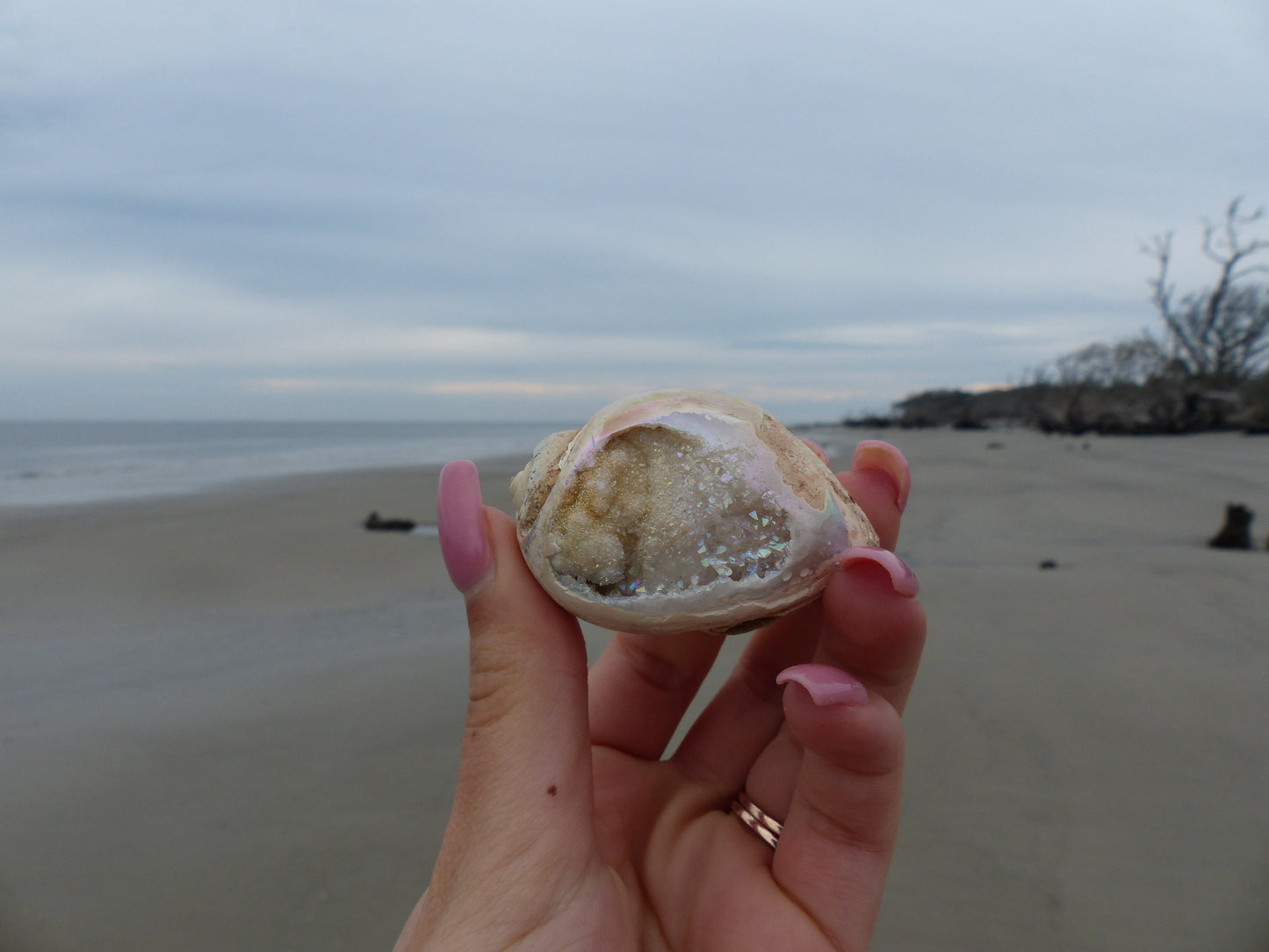 Aura Druzy Shell (#9) - Simply Affinity