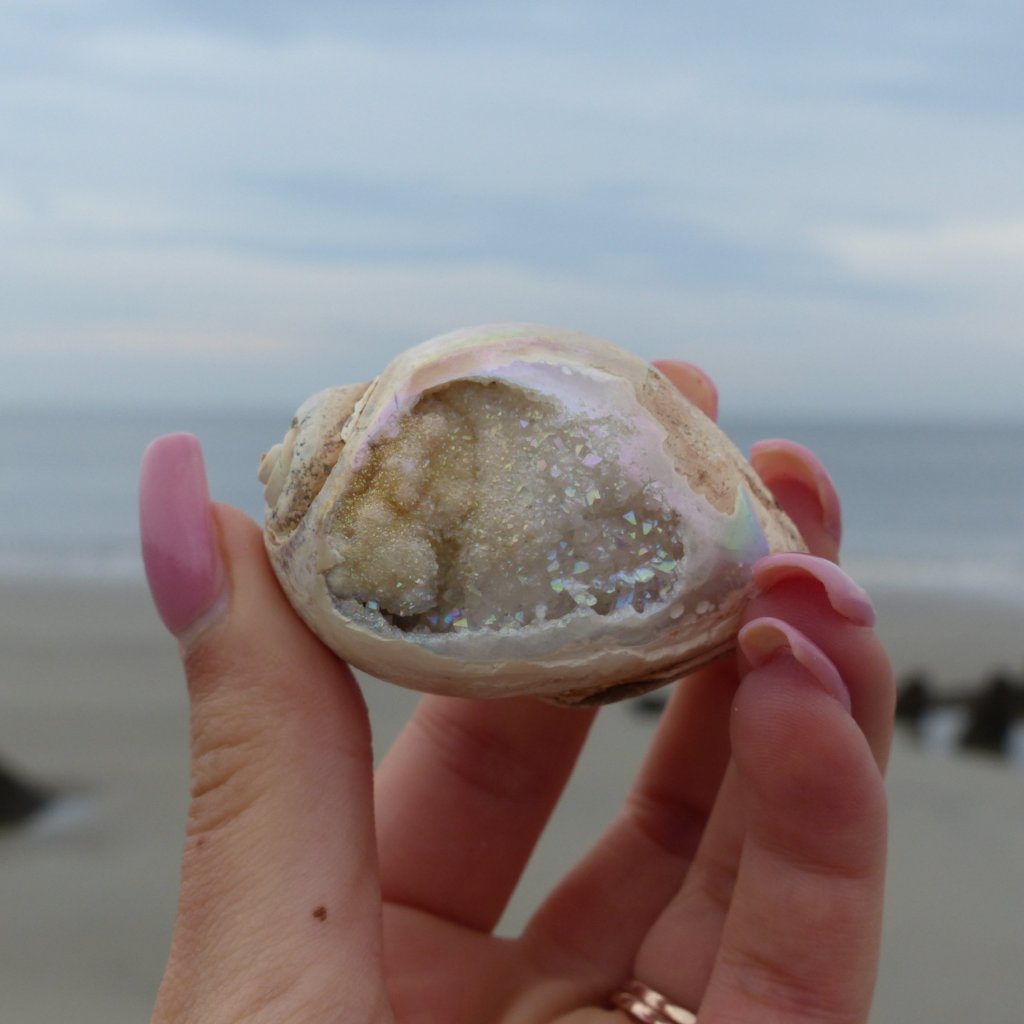 Aura Druzy Shell (#9) - Simply Affinity