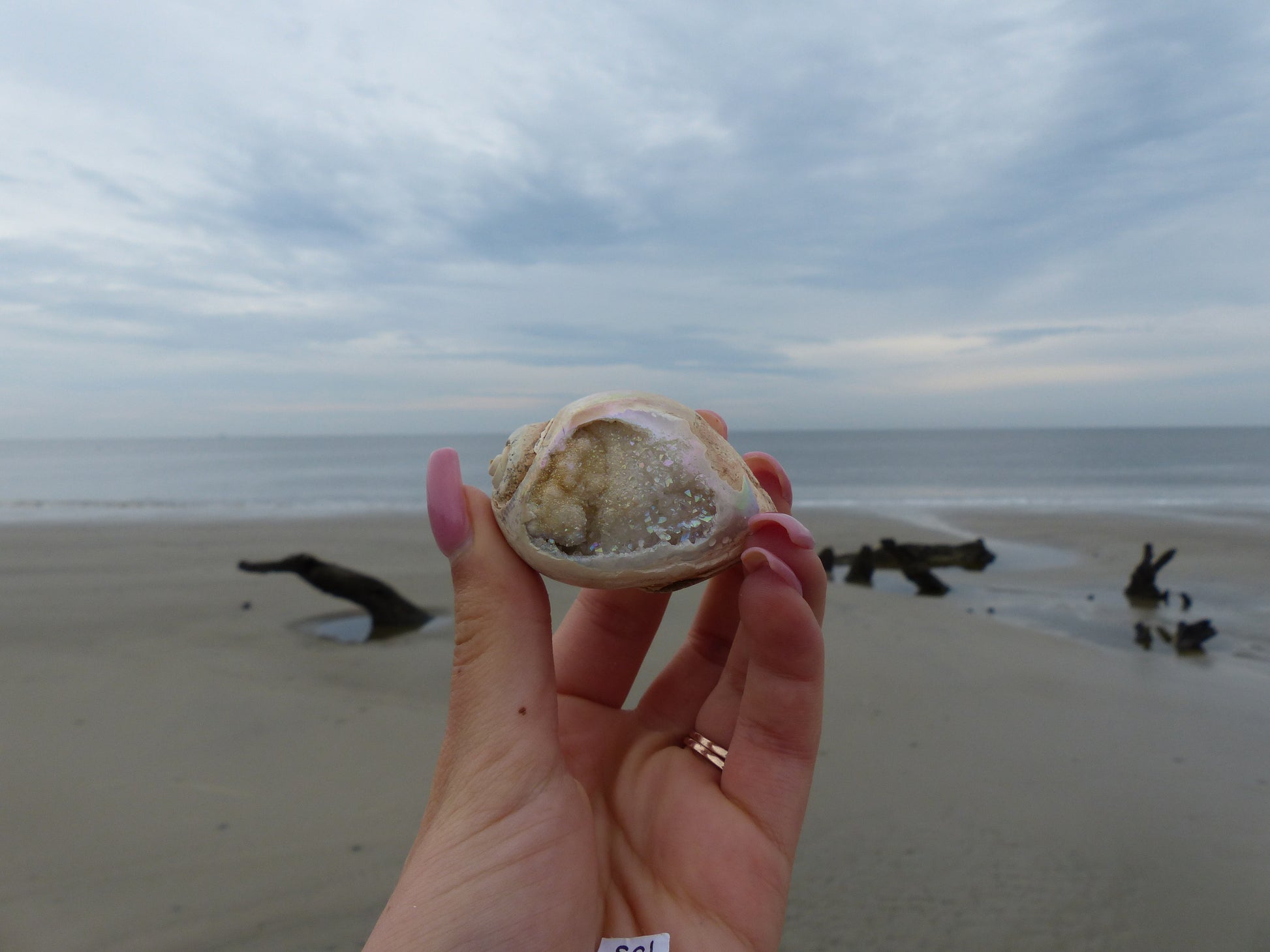 Aura Druzy Shell (#9) - Simply Affinity