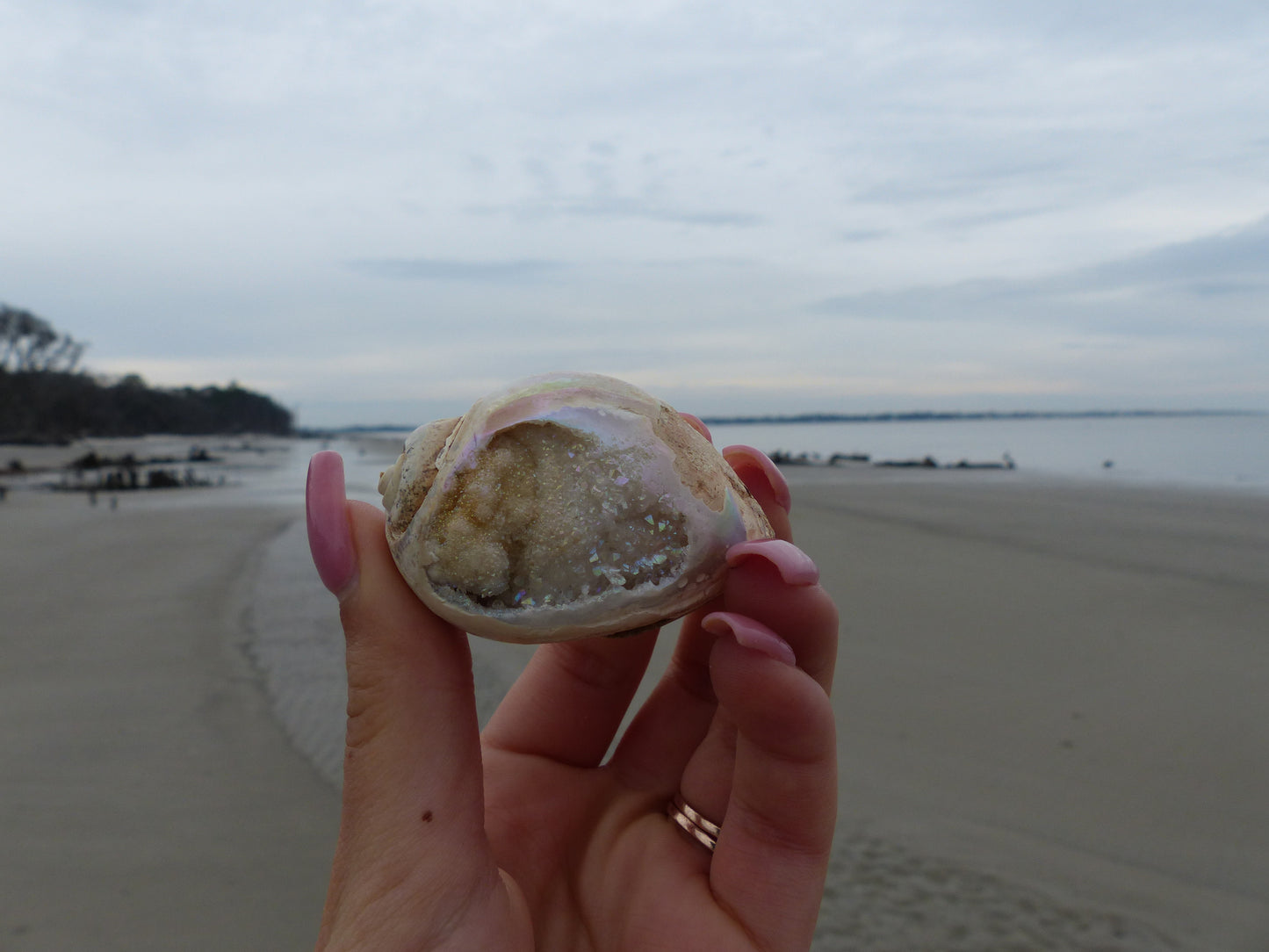 Aura Druzy Shell (#9) - Simply Affinity