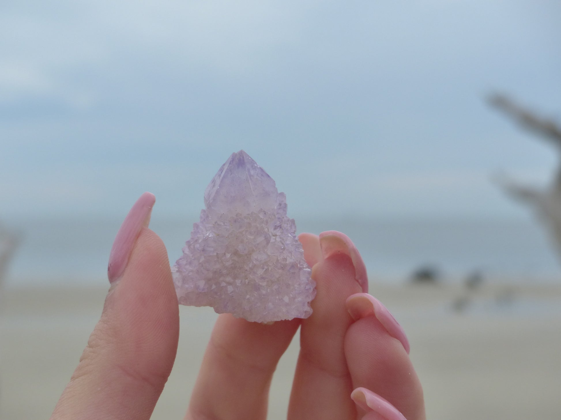 Amethyst Spirit Quartz Point, Amethyst Cactus Quartz (#8) - Simply Affinity
