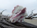 Pink Tourmaline in Quartz #6)