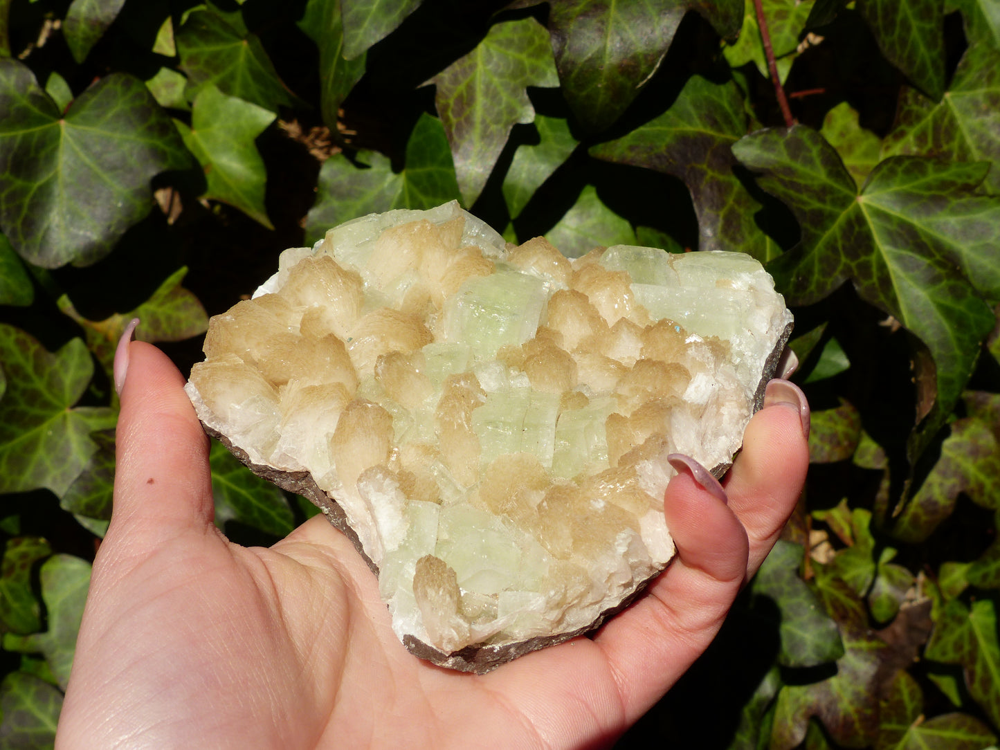 Stillbite & Apophyllite Cluster (#13)