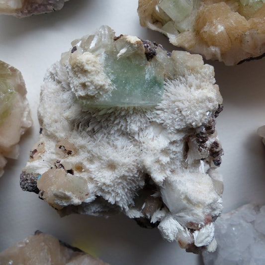 Green Apophyllite on Mordenite (#16)