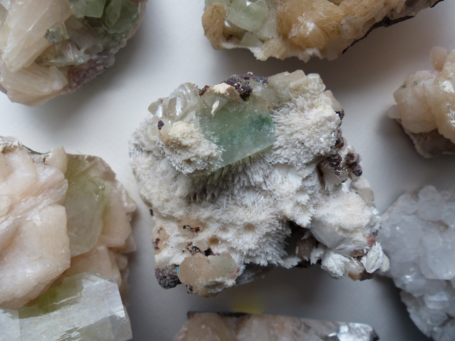Green Apophyllite on Mordenite (#16)