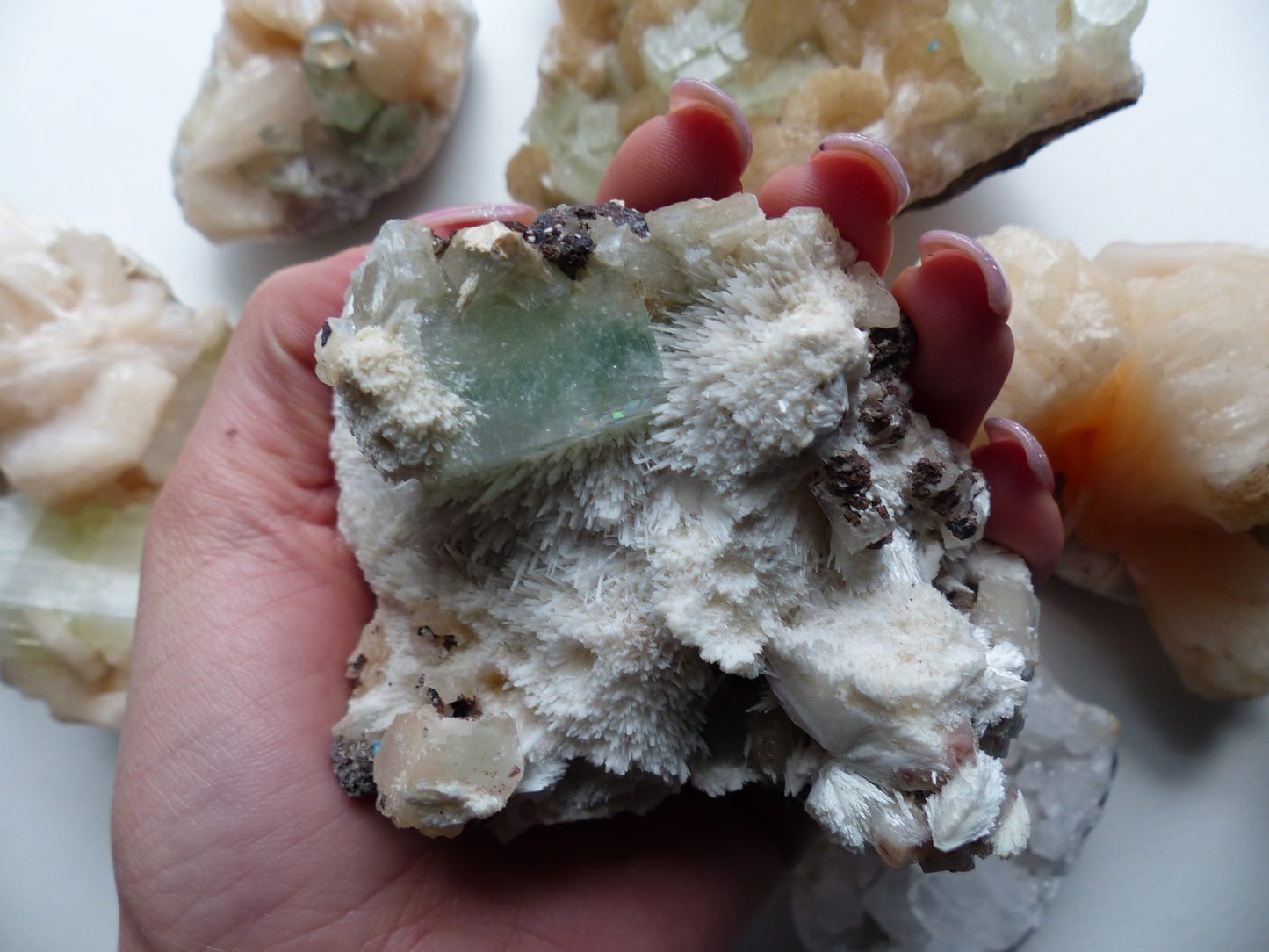 Green Apophyllite on Mordenite (#16)