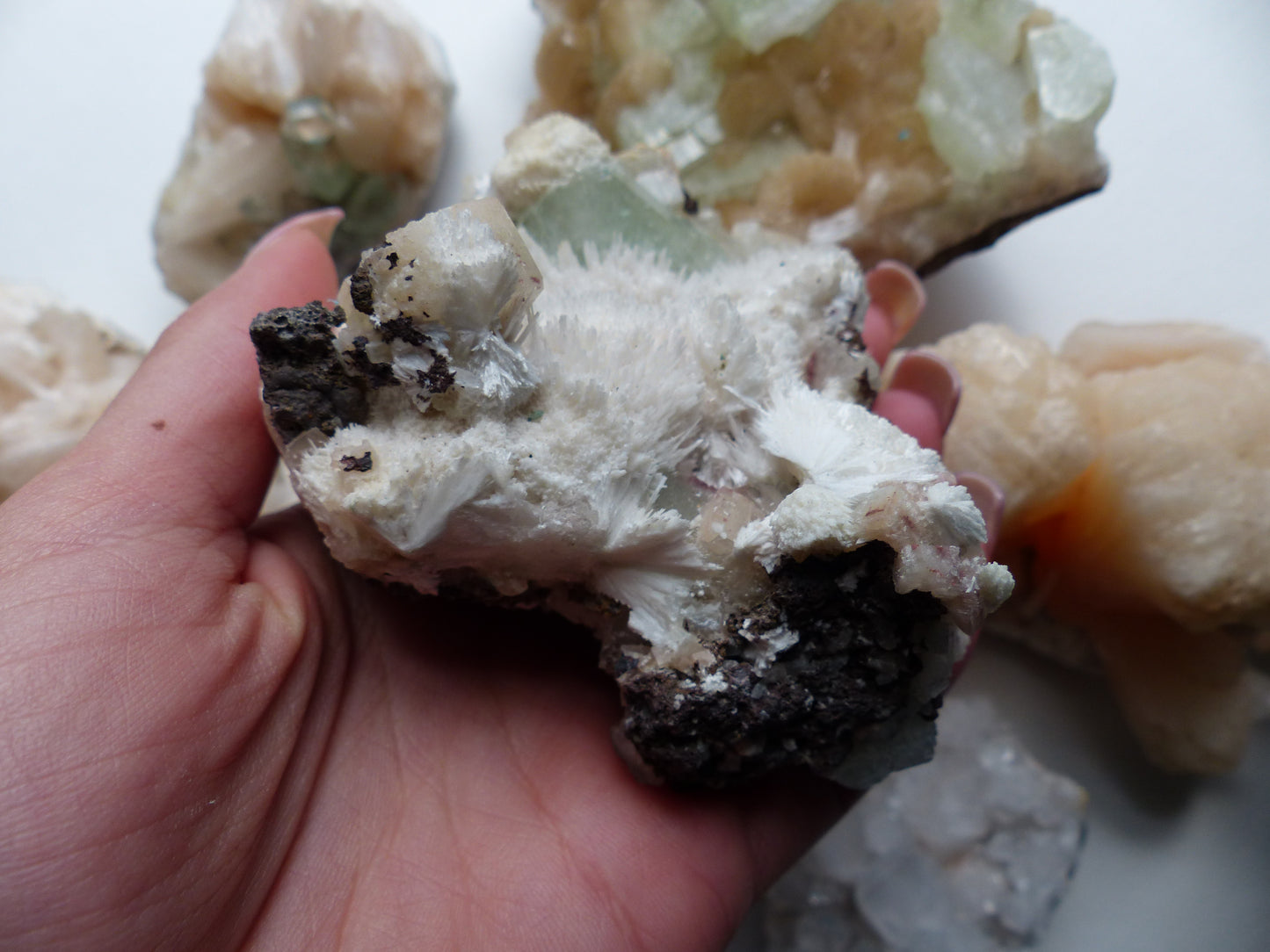 Green Apophyllite on Mordenite (#16)