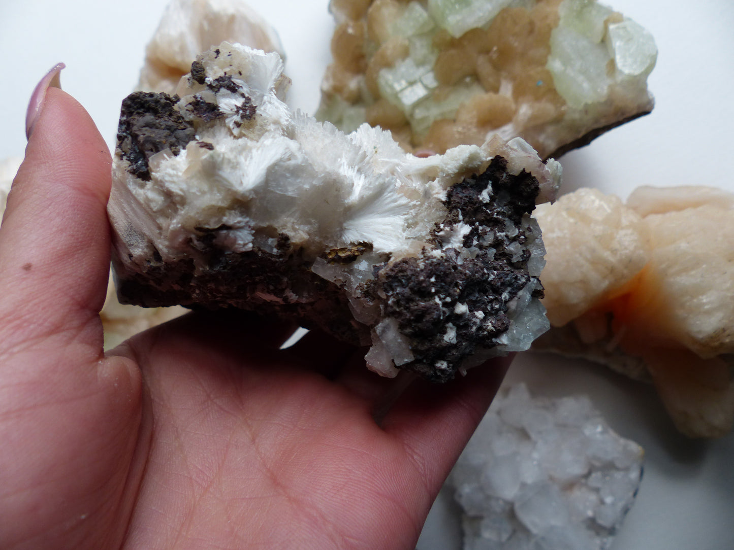 Green Apophyllite on Mordenite (#16)