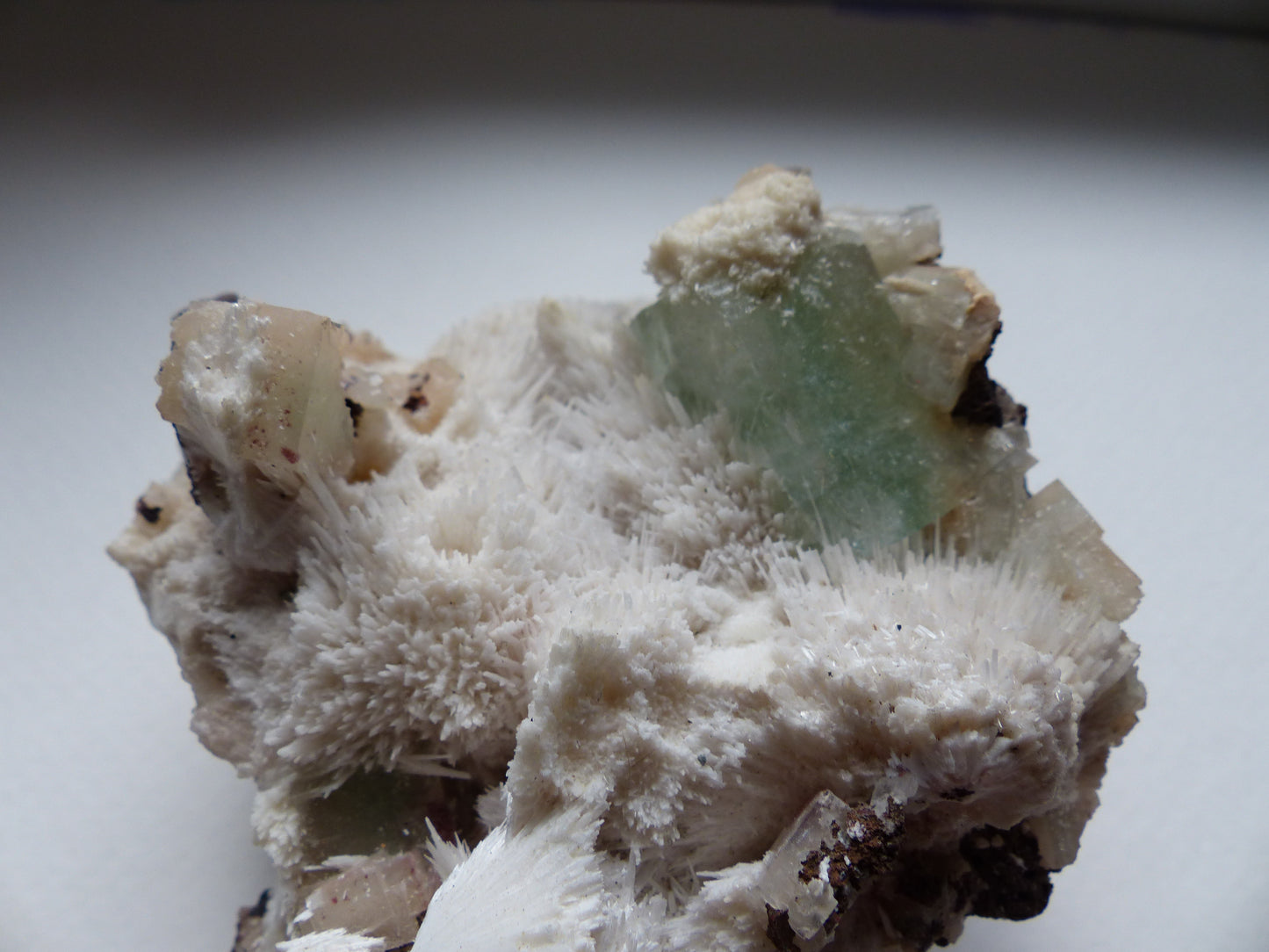 Green Apophyllite on Mordenite (#16)