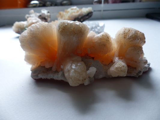Stillbite Cluster (#12)