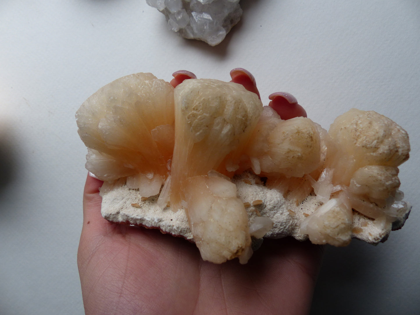 Stillbite Cluster (#12)