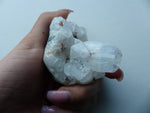 Apophyllite Cluster (#11) - Simply Affinity