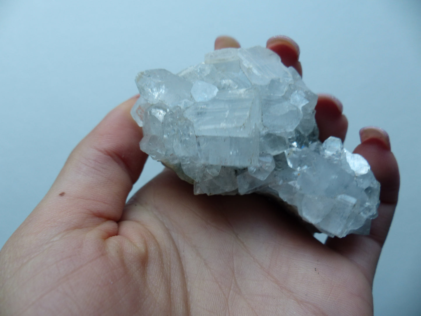 Apophyllite Cluster (#10) - Simply Affinity