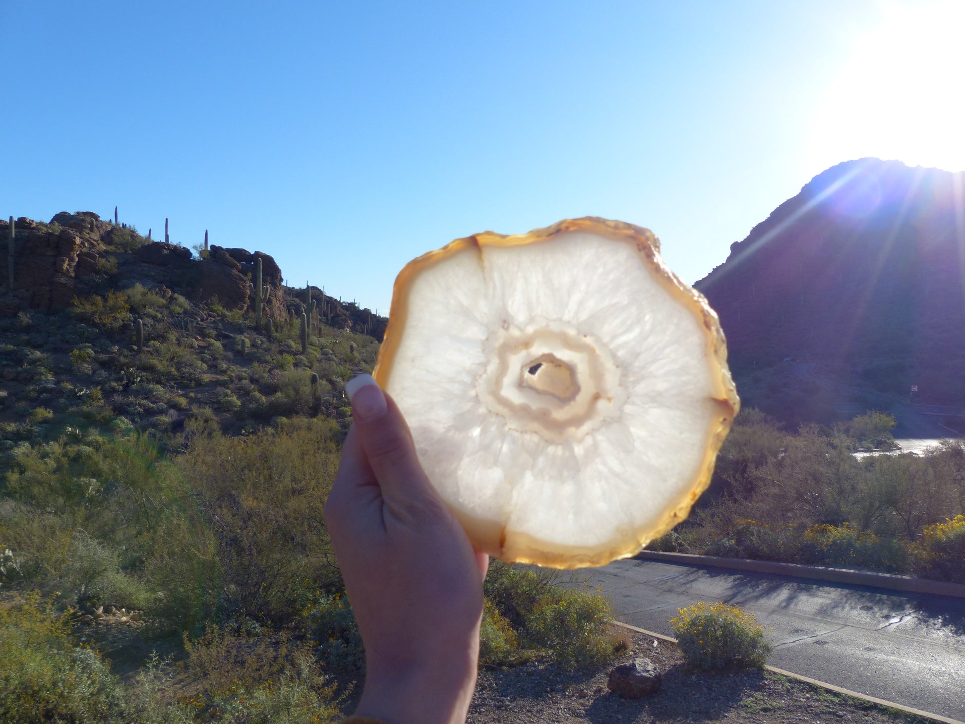 Agate Slice with Druzy Inclusions (#1) - Simply Affinity