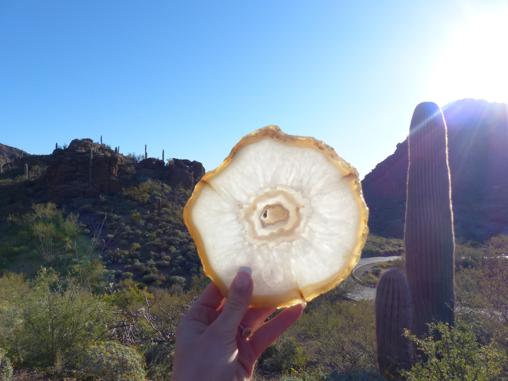 Agate Slice with Druzy Inclusions (#1) - Simply Affinity