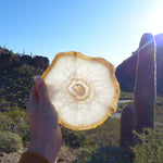 Agate Slice with Druzy Inclusions (#1) - Simply Affinity