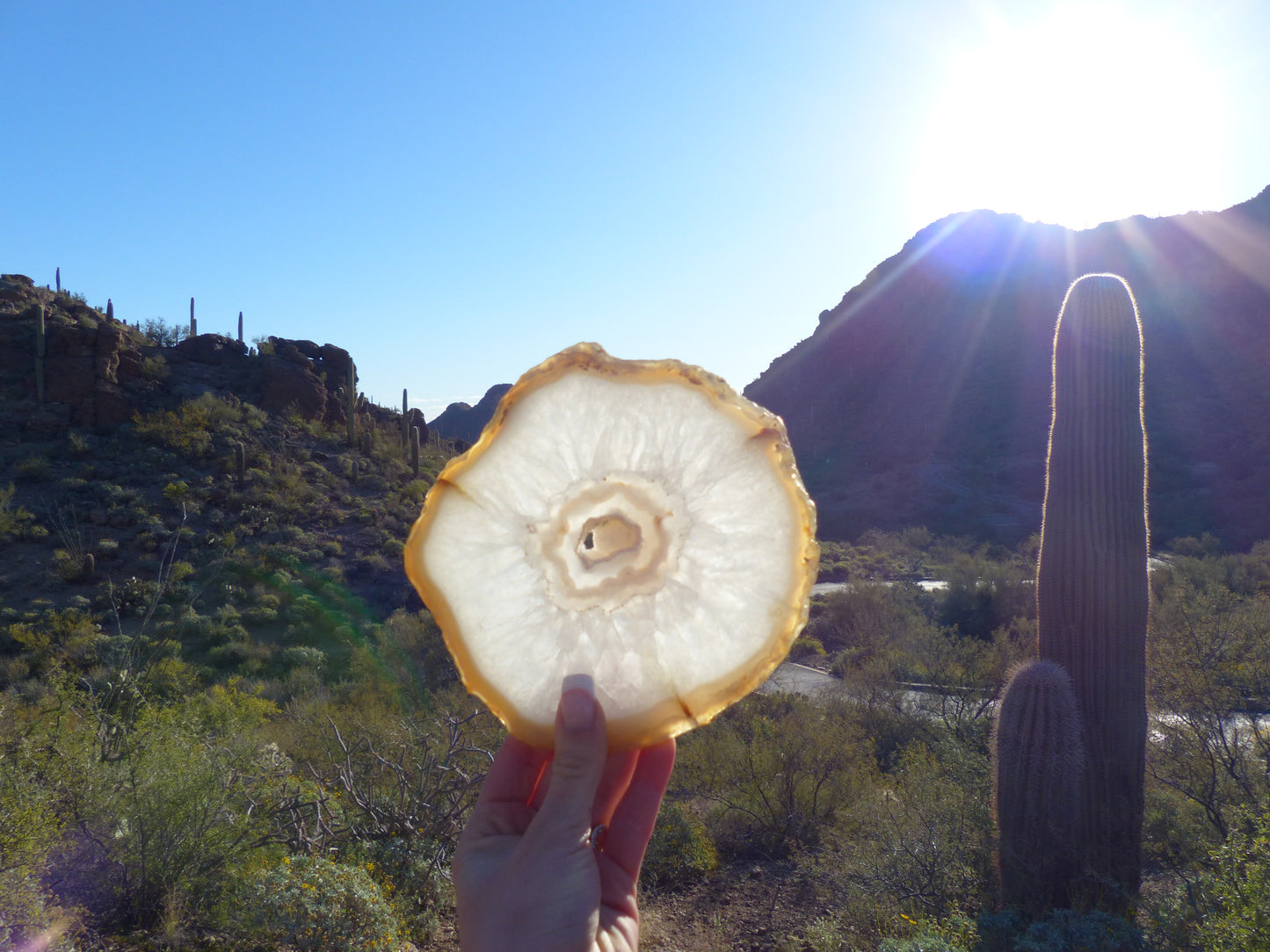 Agate Slice with Druzy Inclusions (#1) - Simply Affinity