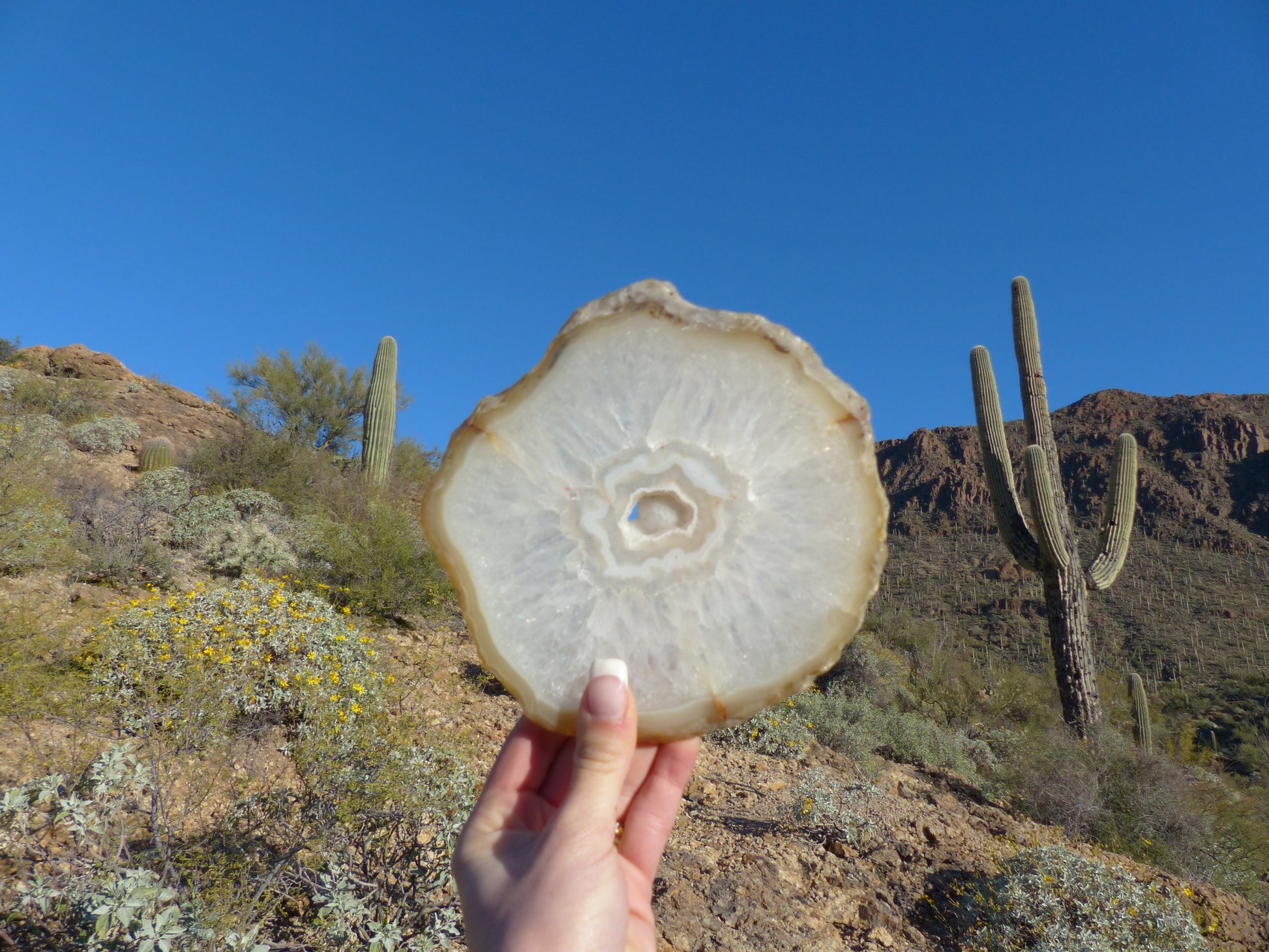 Agate Slice with Druzy Inclusions (#1) - Simply Affinity