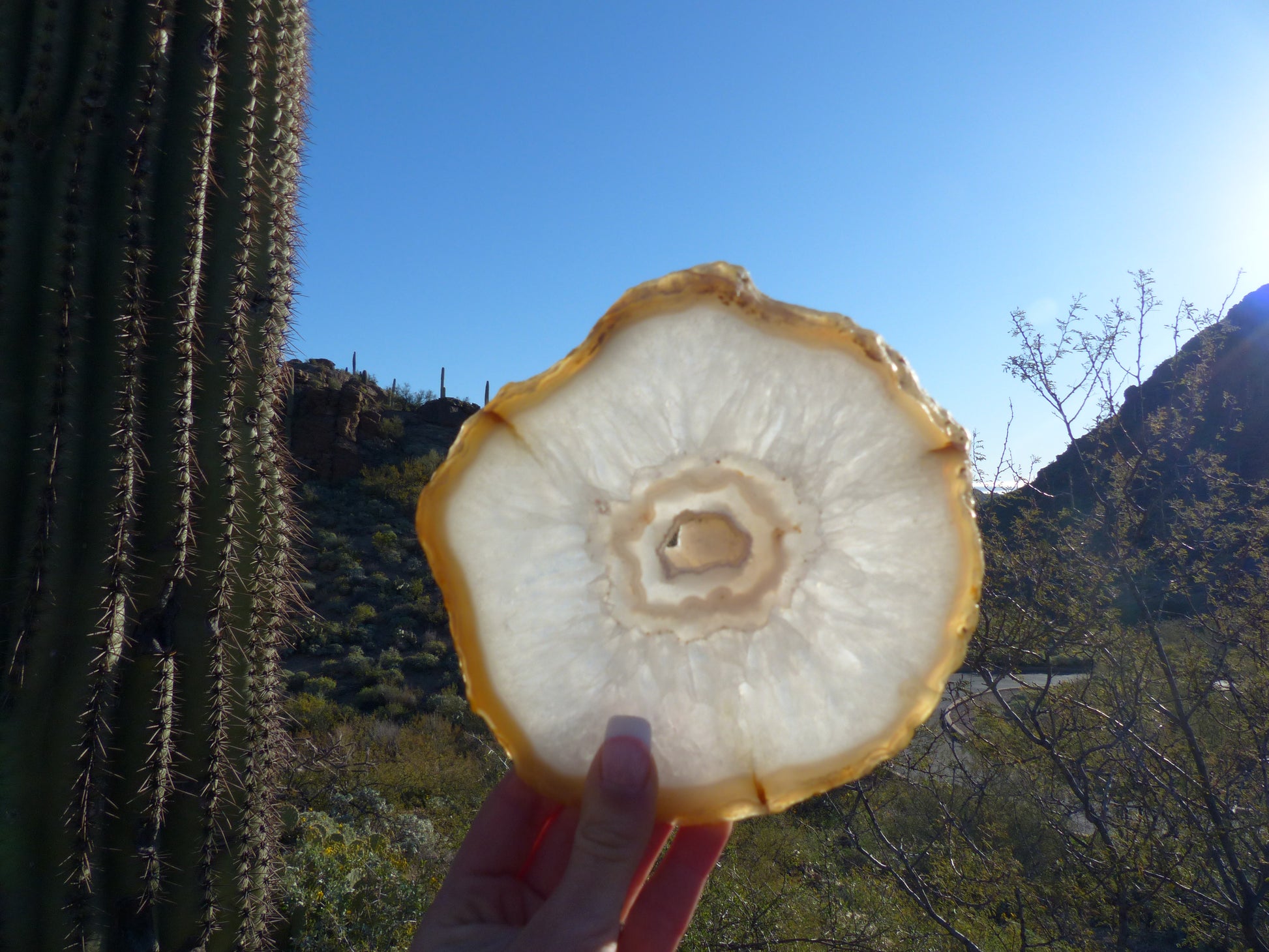 Agate Slice with Druzy Inclusions (#1) - Simply Affinity