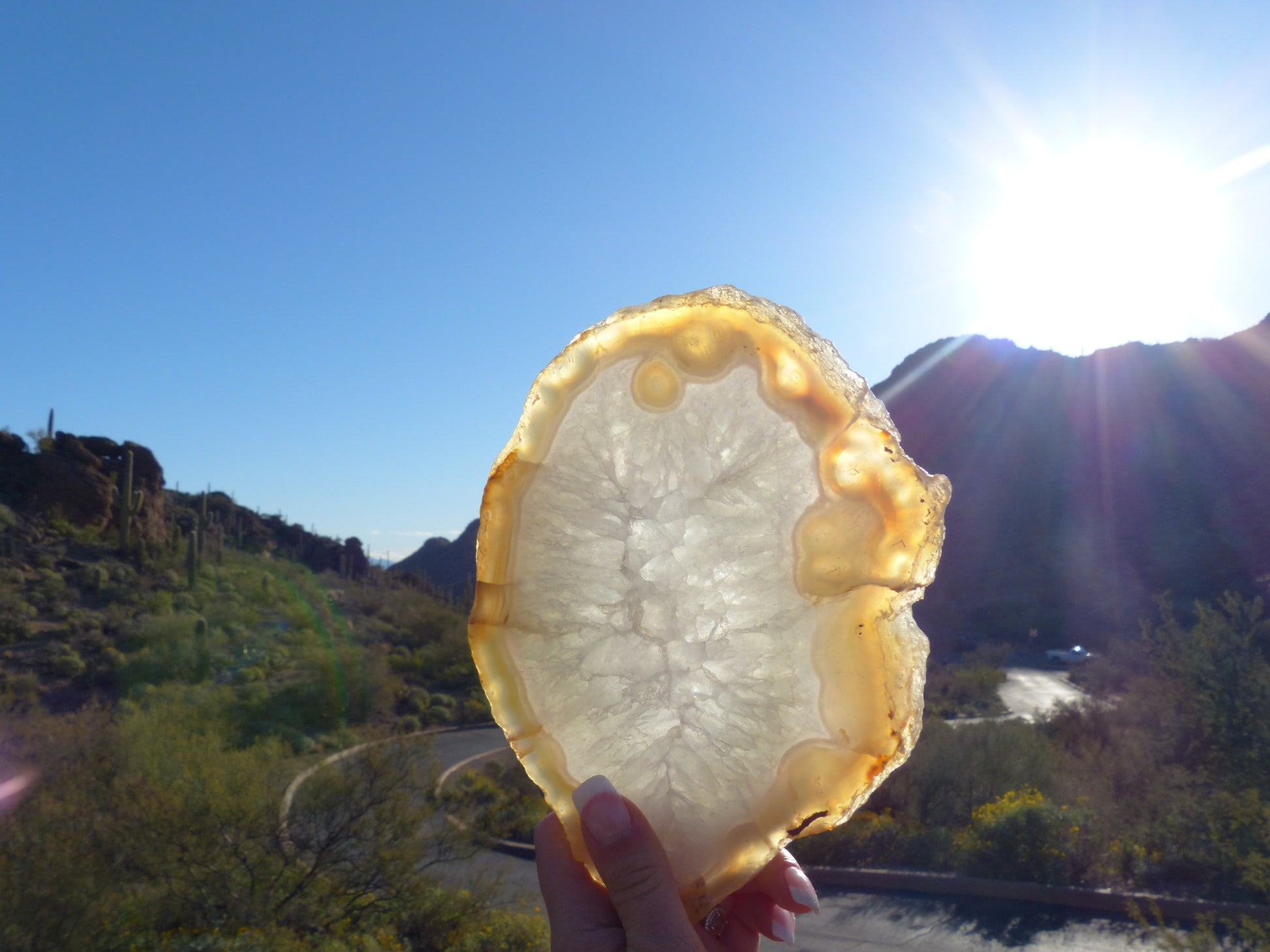 Agate Slice (#2) - Simply Affinity