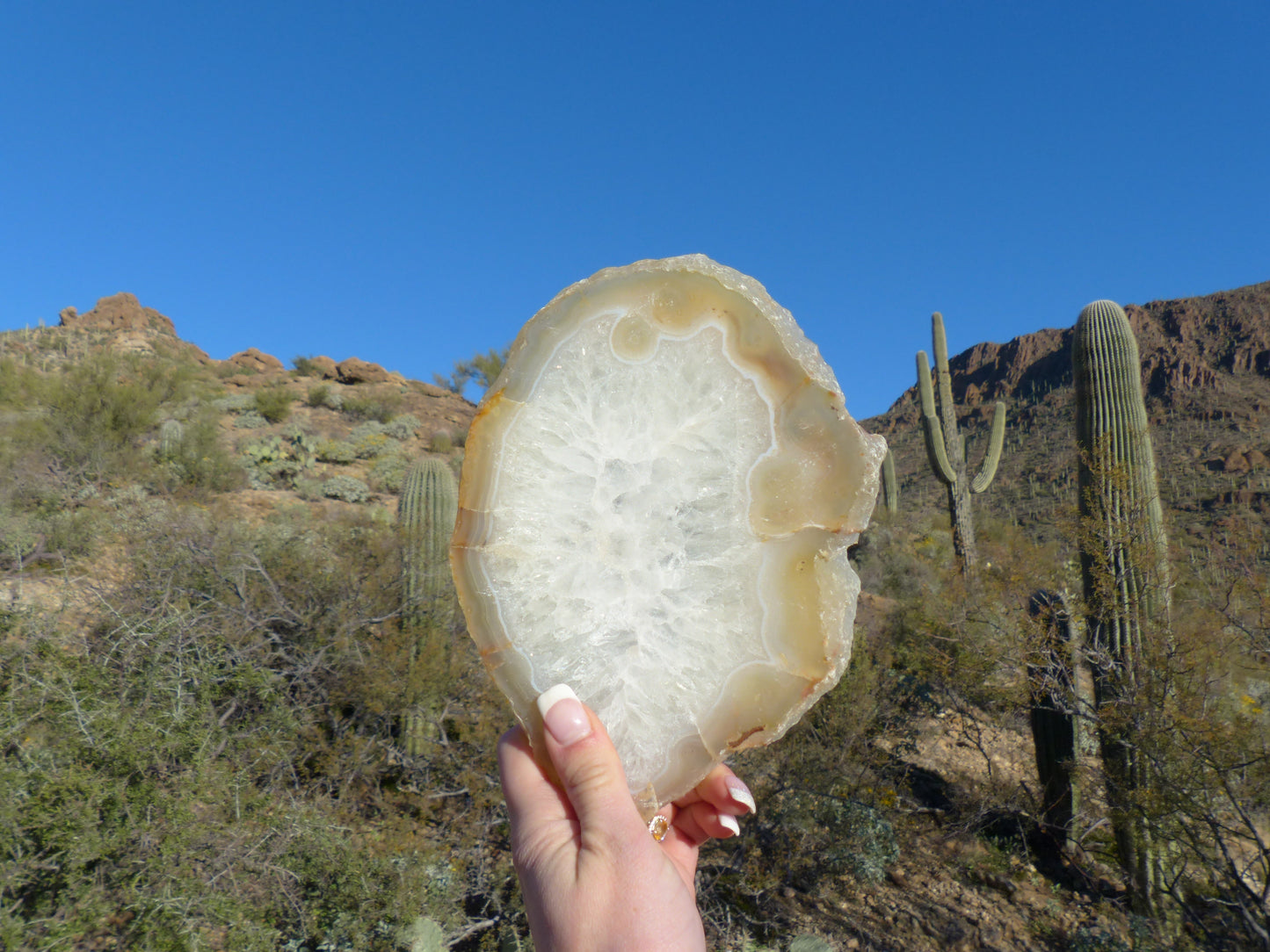 Agate Slice (#2) - Simply Affinity